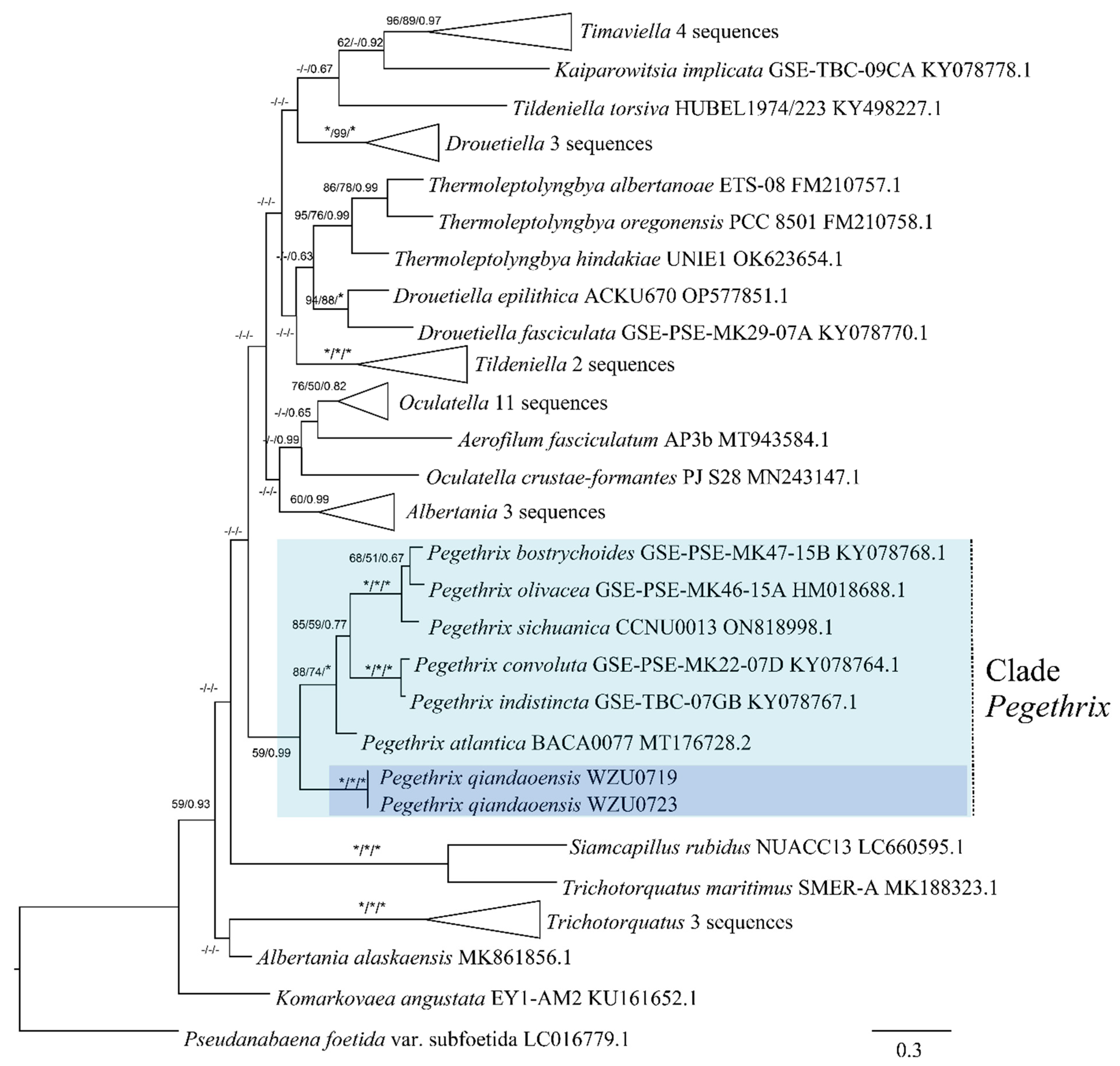 Diversity 16 00161 g004