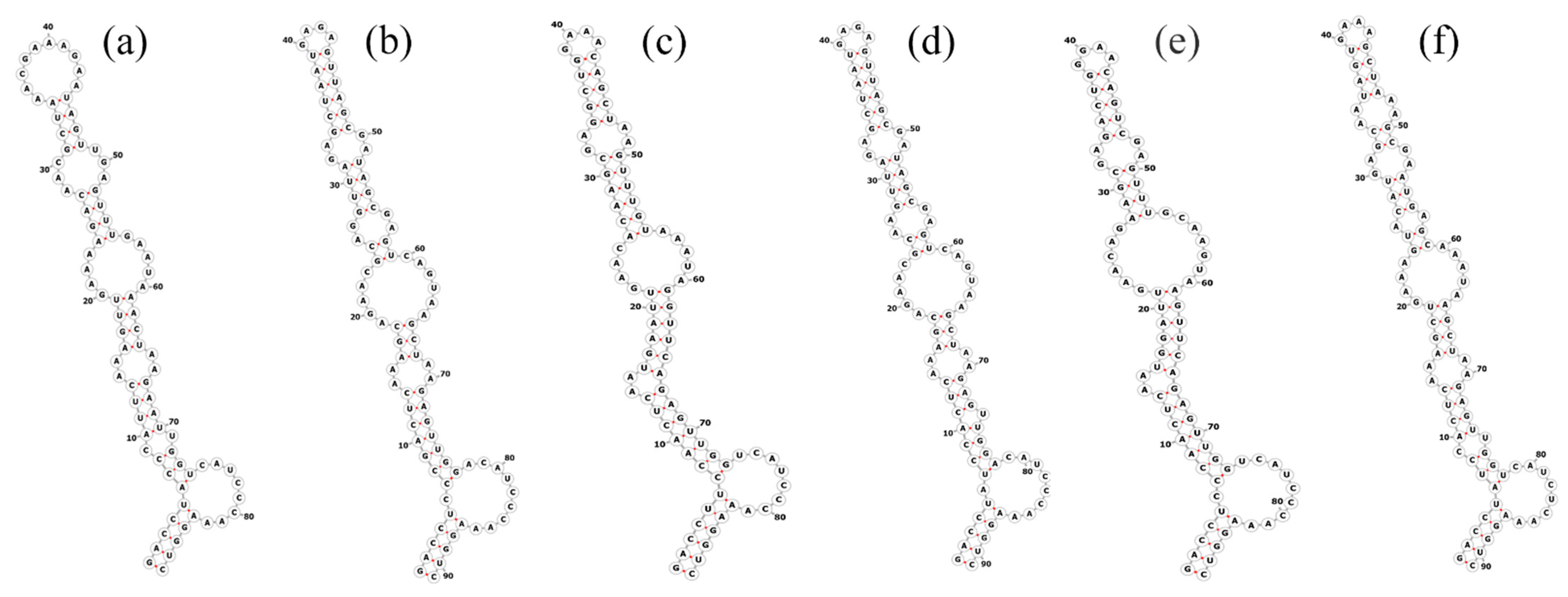 Diversity 16 00161 g005
