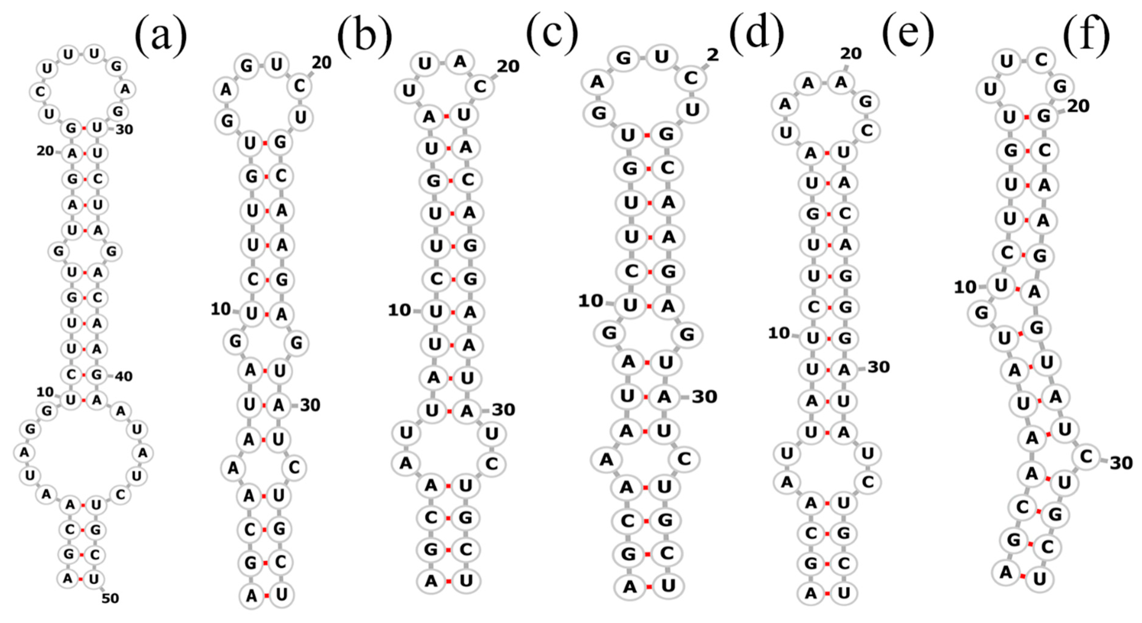 Diversity 16 00161 g006