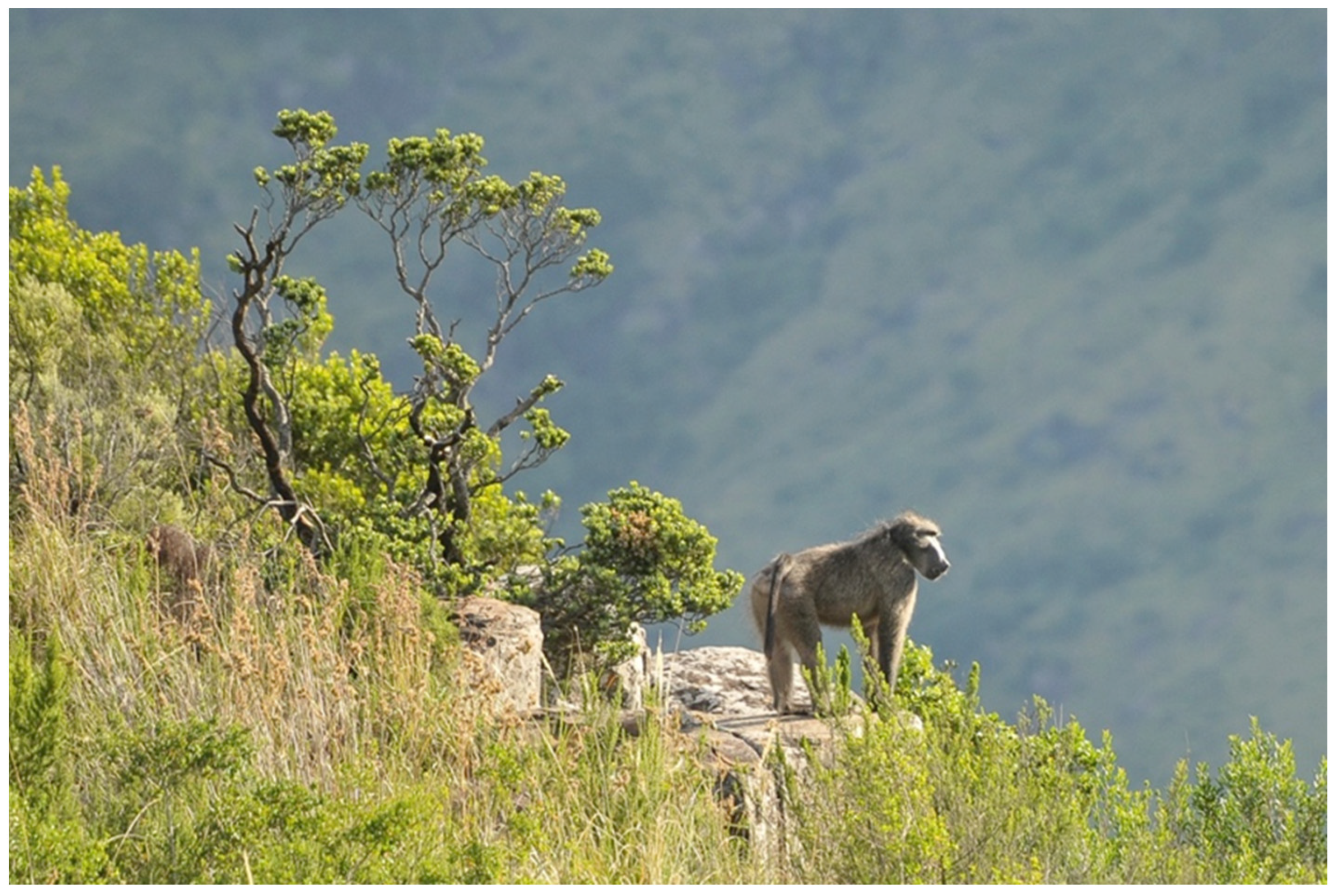 Diversity 16 00168 g002