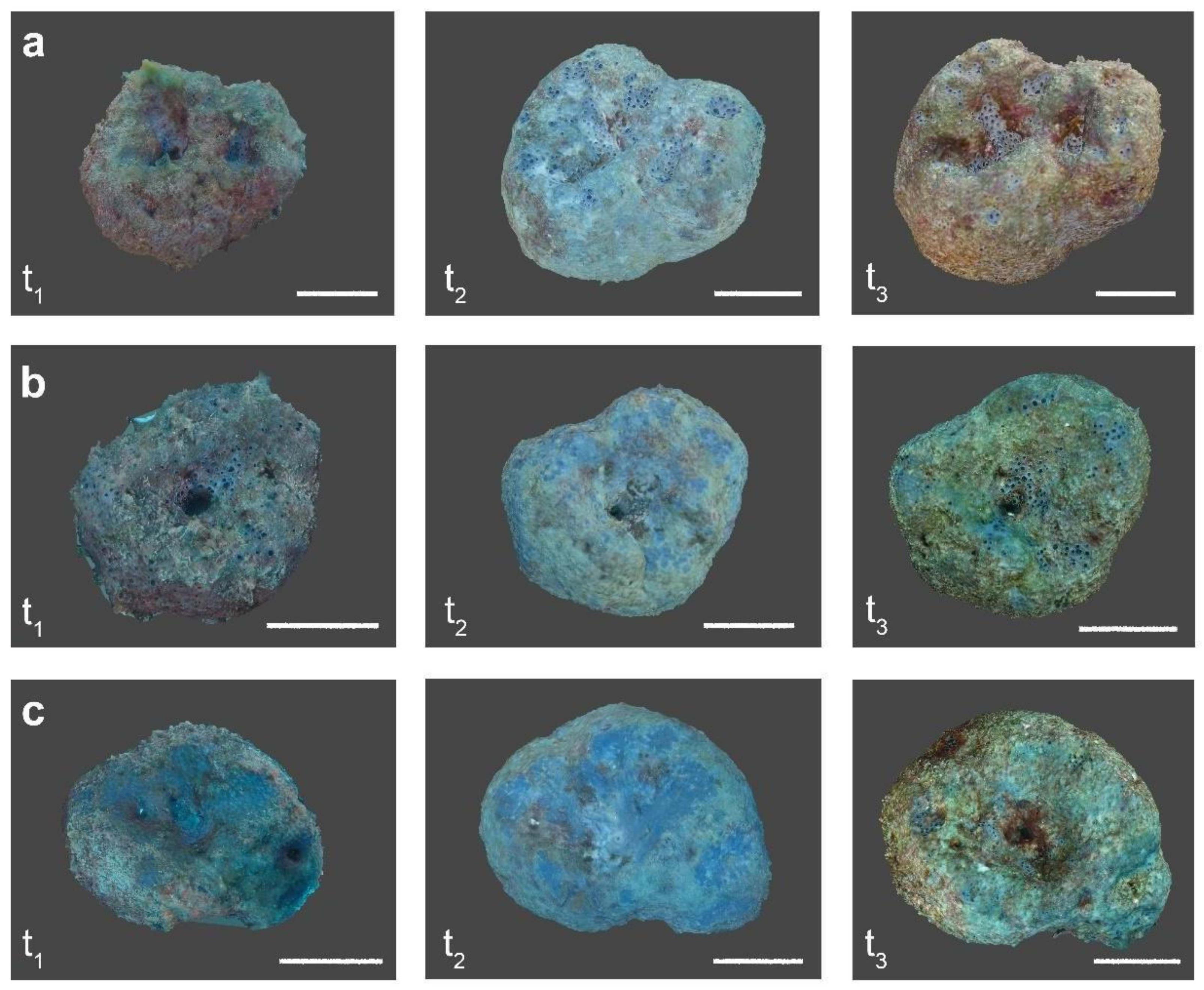 Diversity 16 00175 g002