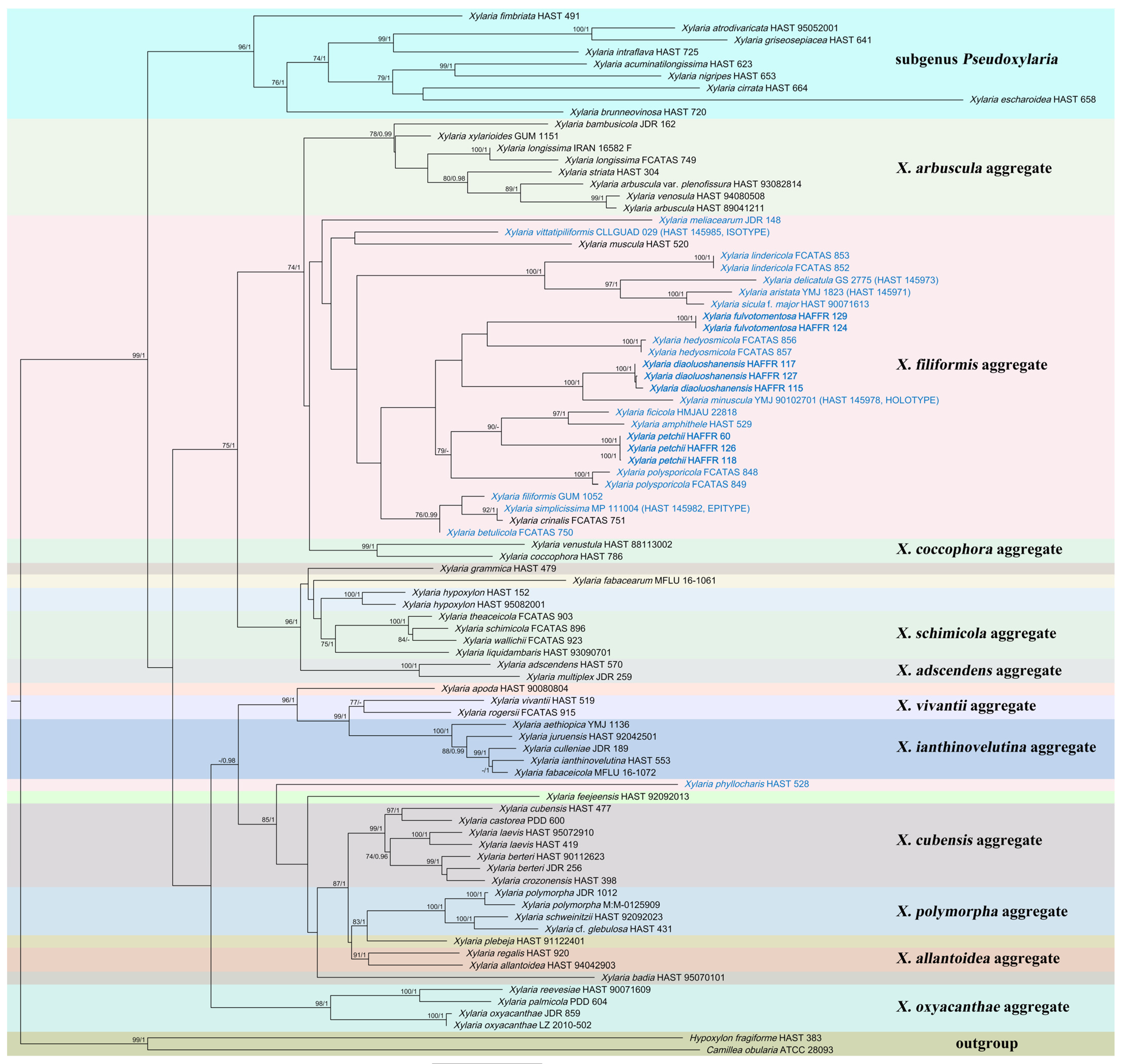 Diversity 16 00179 g001