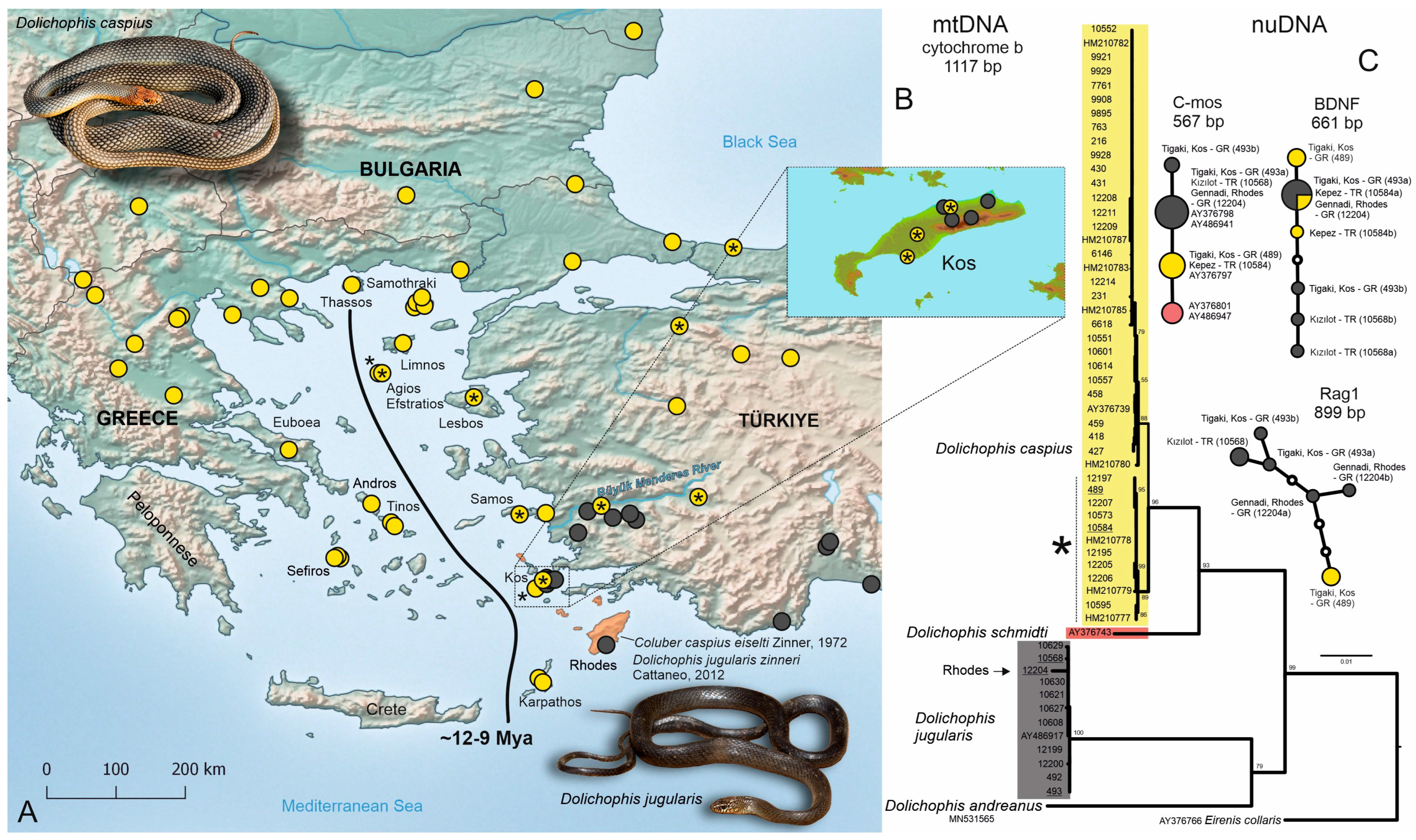 Diversity 16 00184 g001