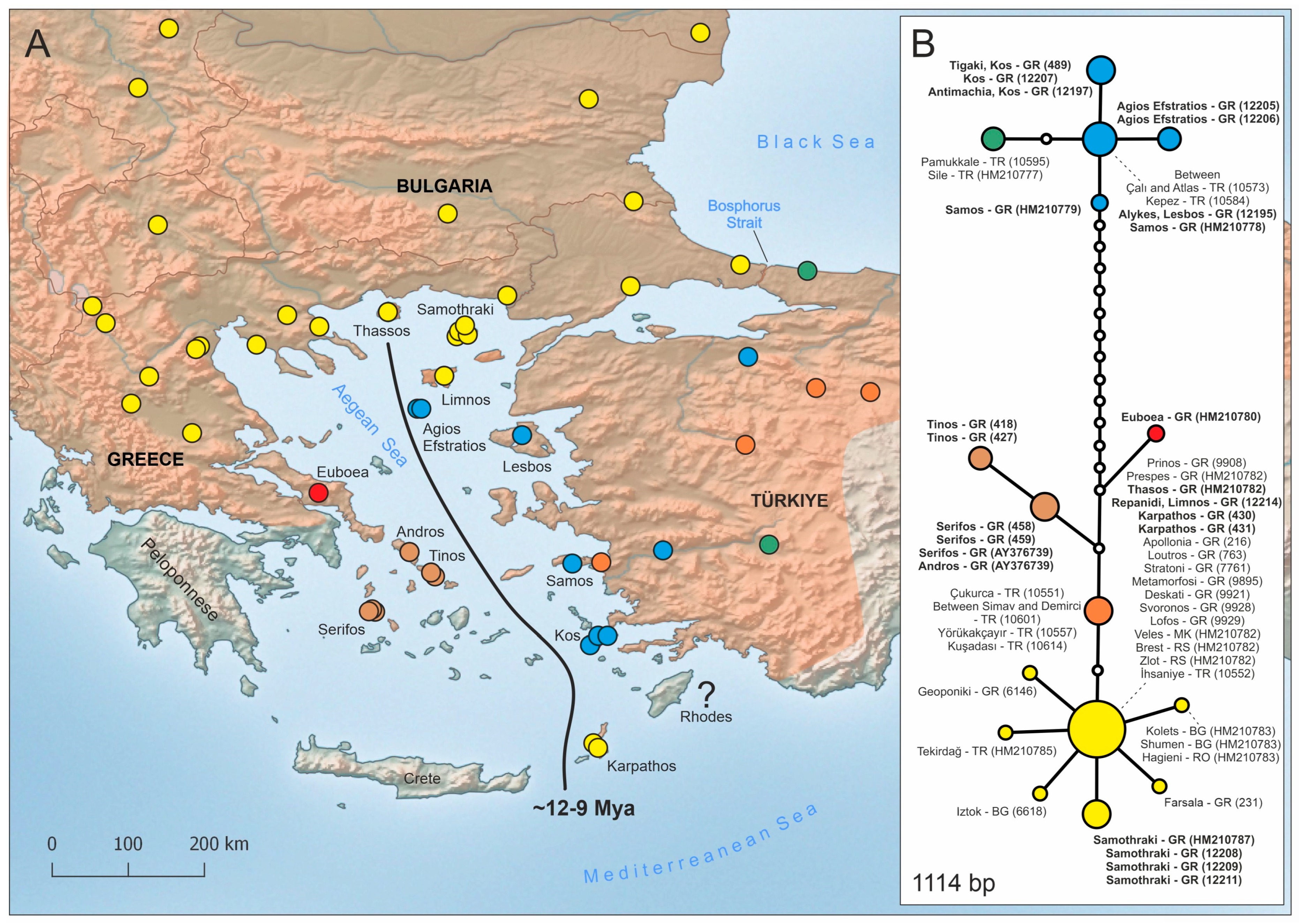 Diversity 16 00184 g002