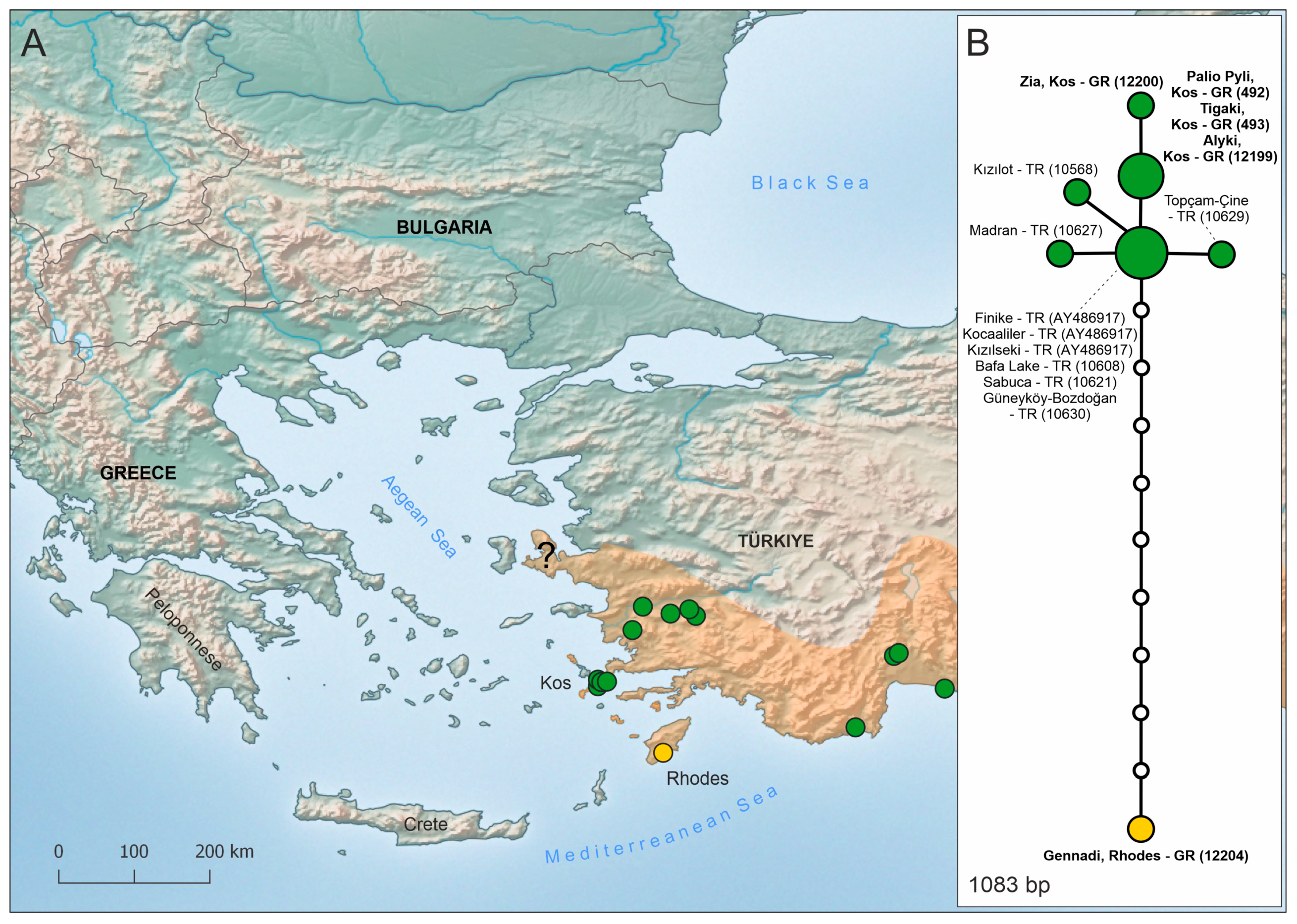 Diversity 16 00184 g003