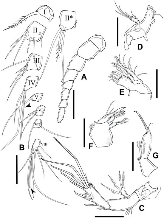 Diversity 16 00185 g004