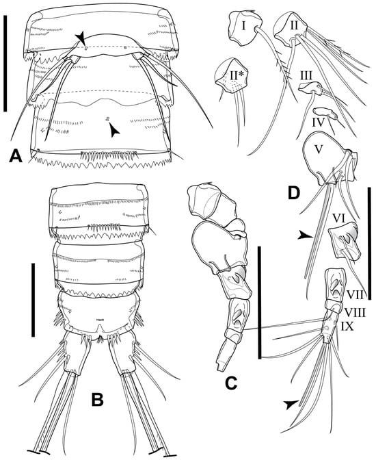 Diversity 16 00185 g006