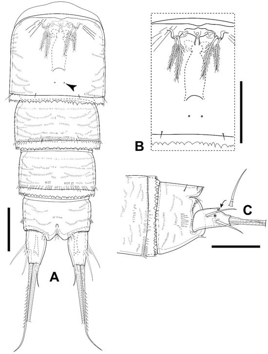 Diversity 16 00185 g009