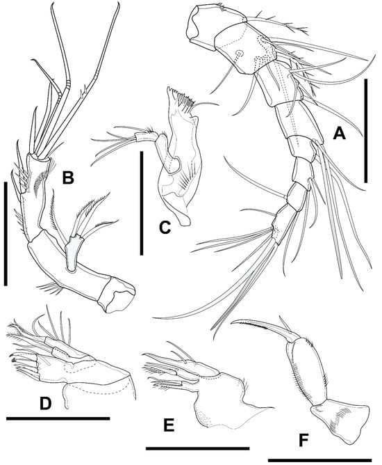 Diversity 16 00185 g010