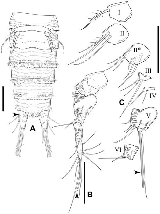 Diversity 16 00185 g012