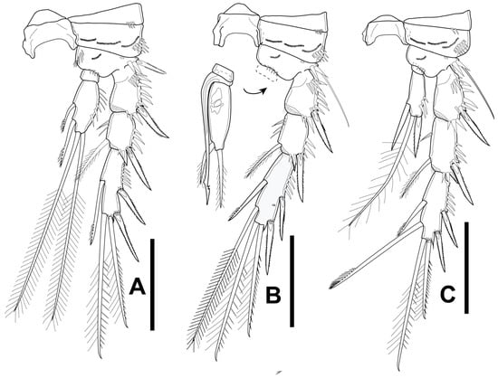 Diversity 16 00185 g013