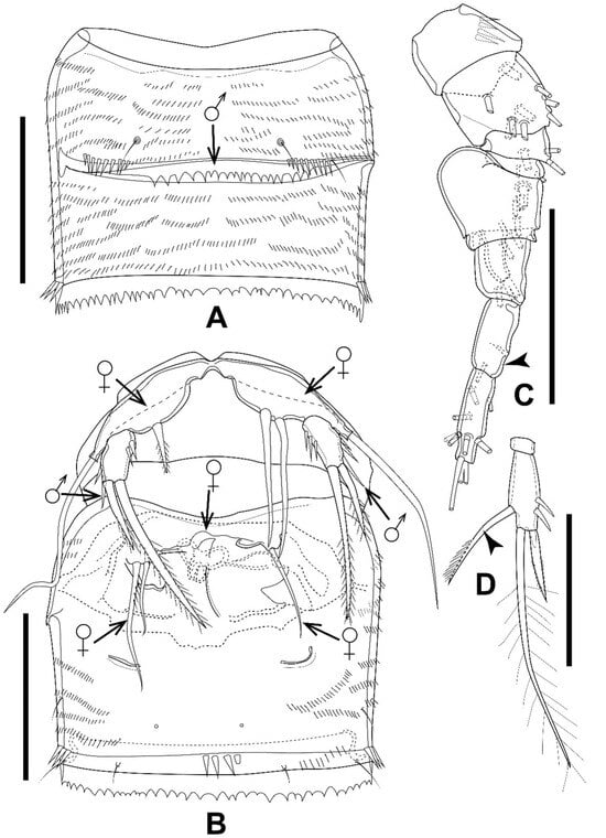 Diversity 16 00185 g014