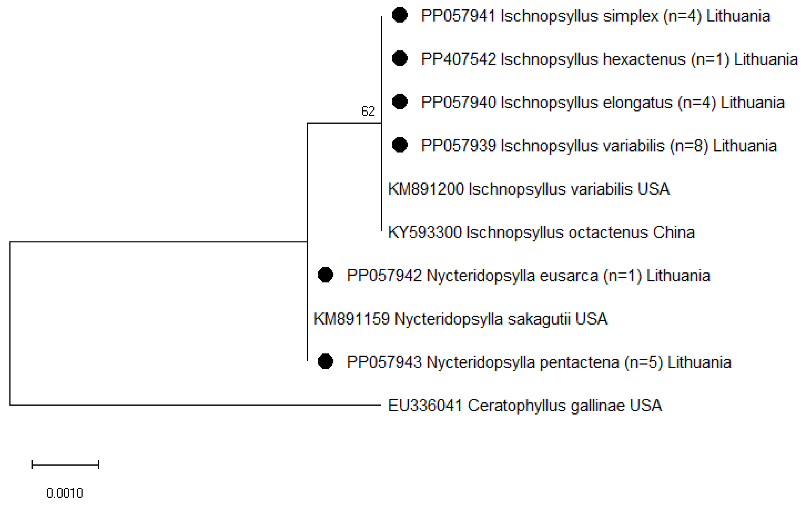 Diversity 16 00192 g001