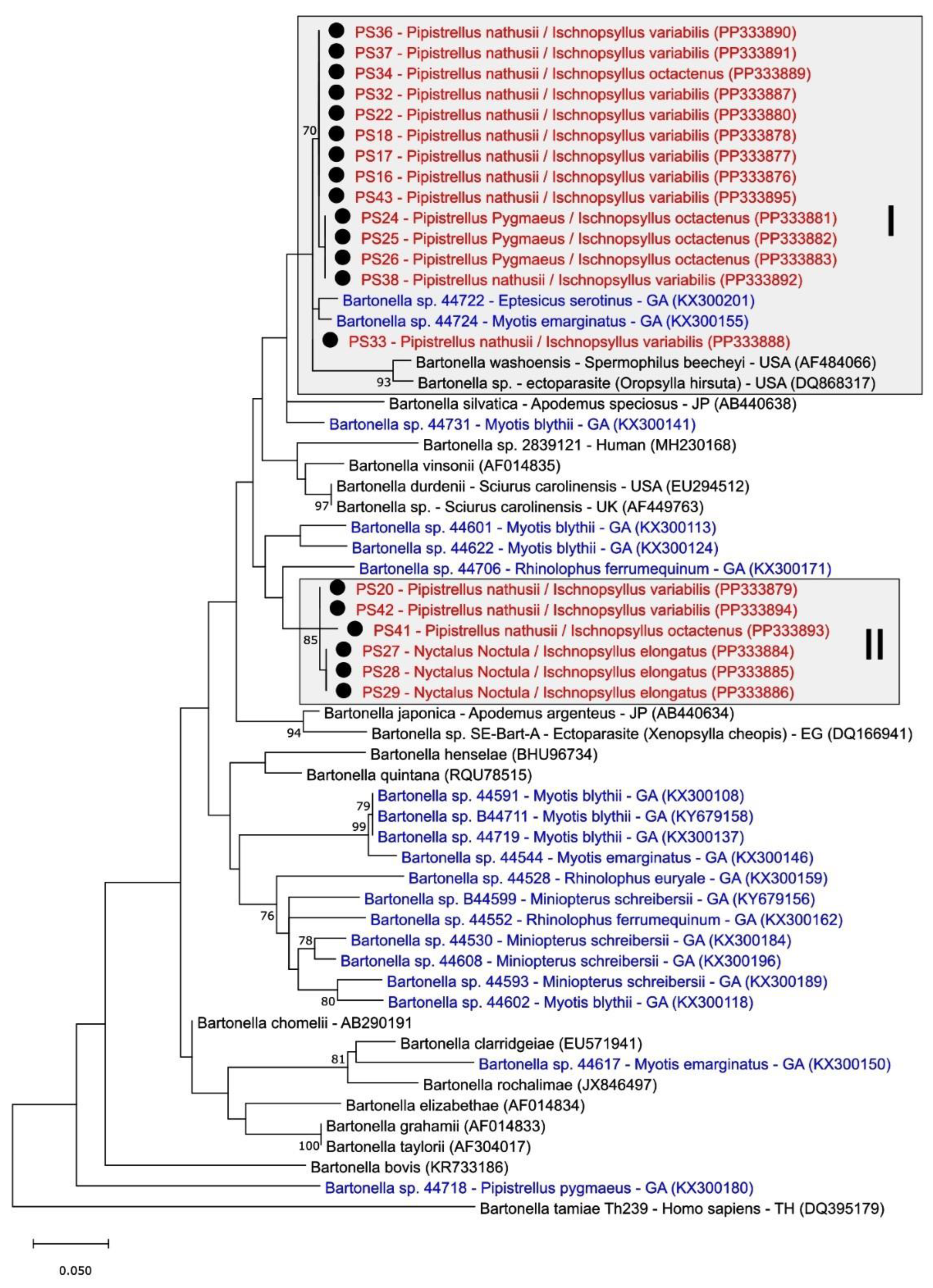 Diversity 16 00192 g004