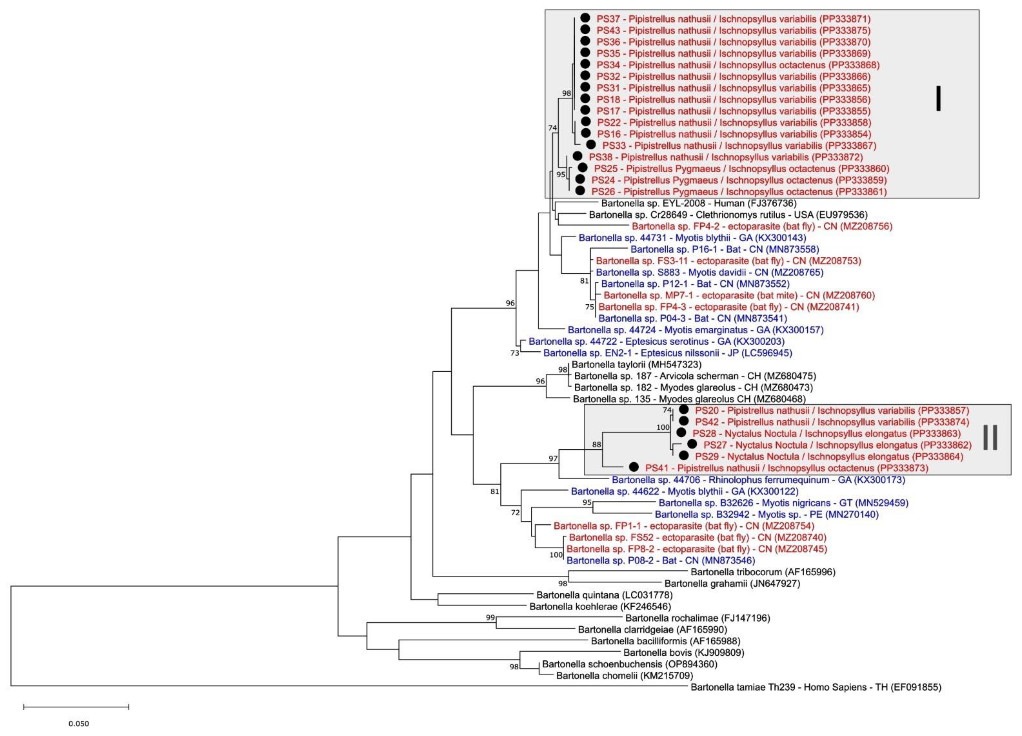 Diversity 16 00192 g005