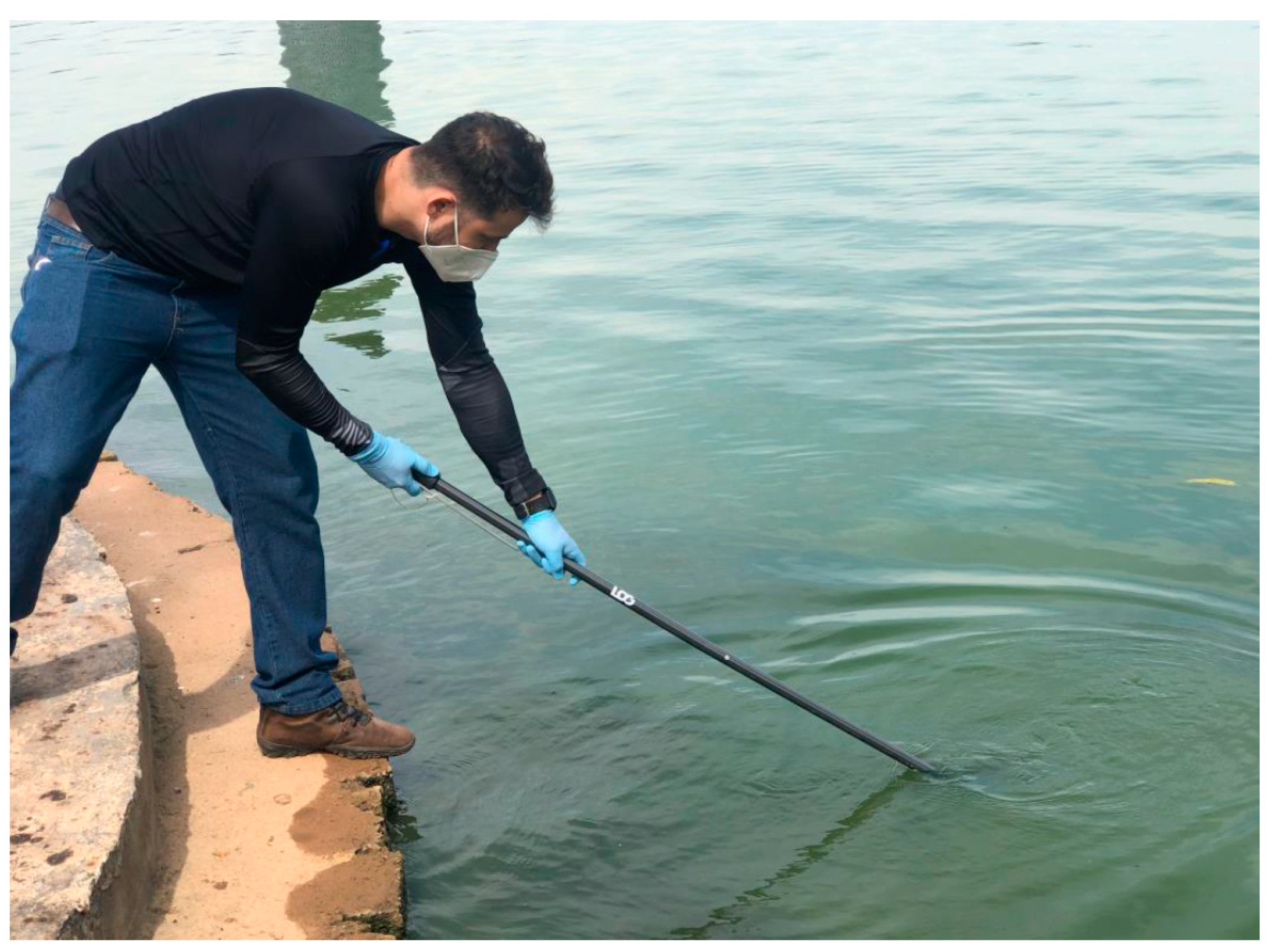 Diversity 16 00193 g001