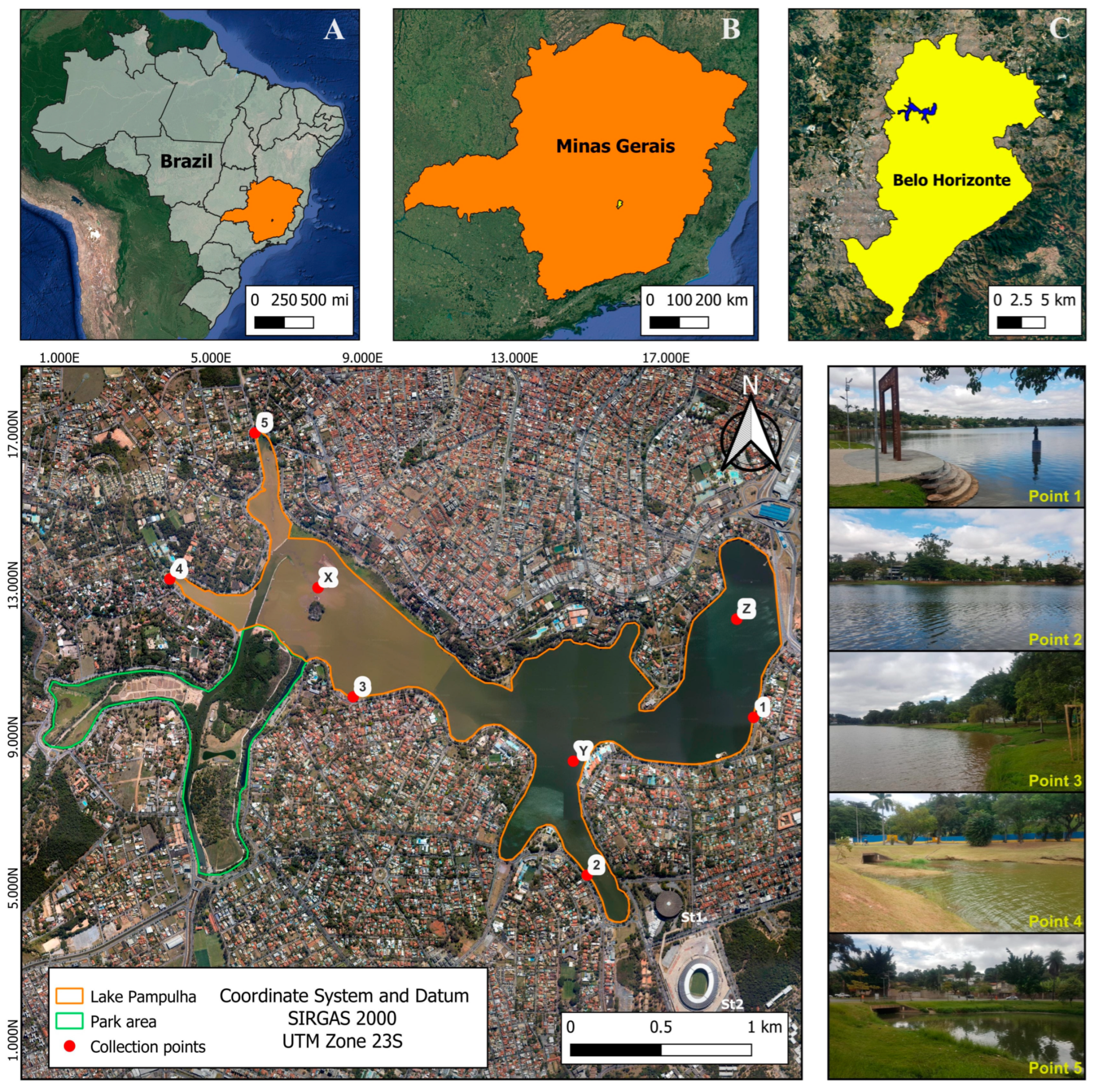 Diversity 16 00193 g002