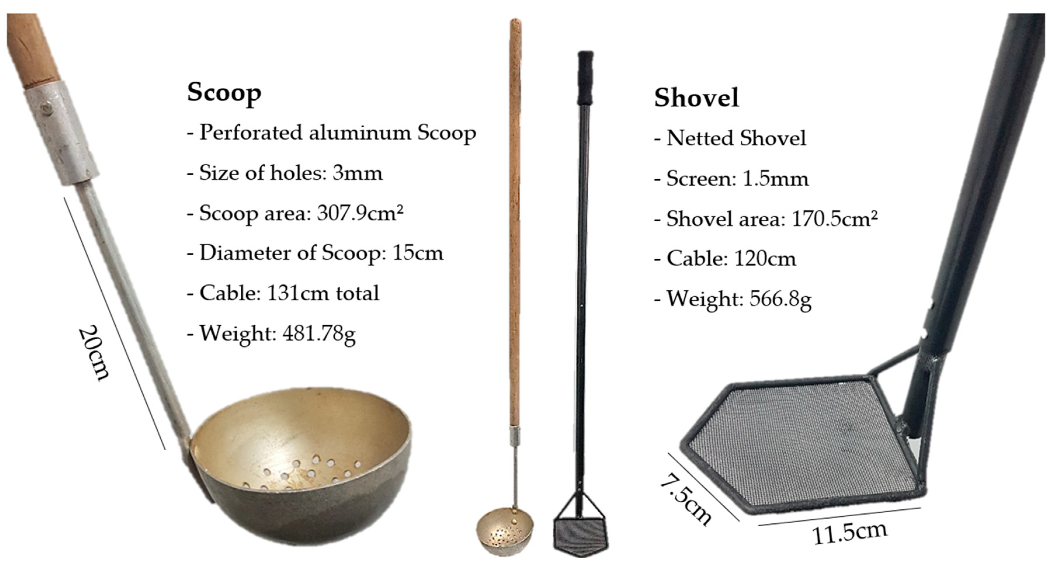 Diversity 16 00193 g003