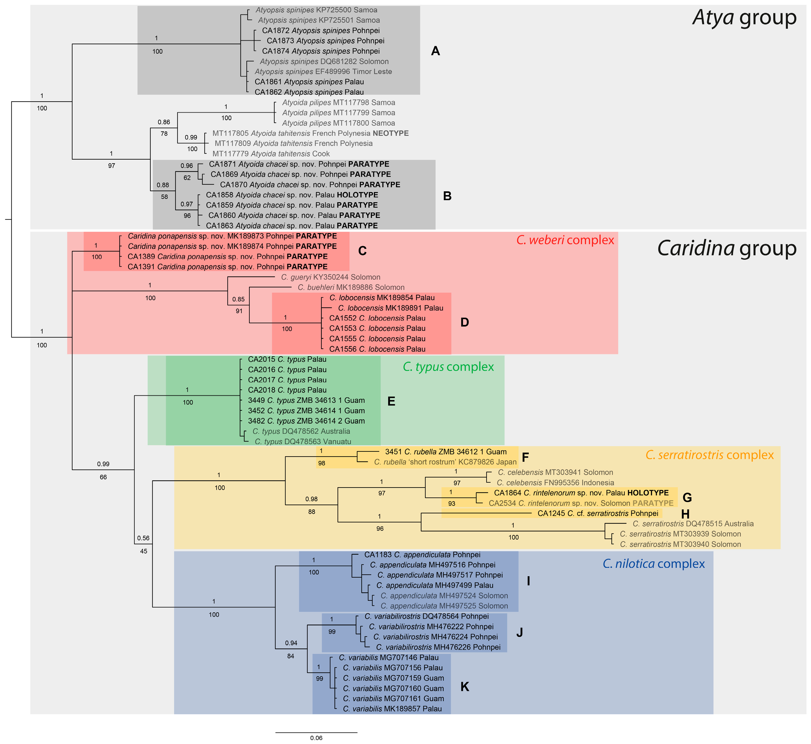Diversity 16 00200 g003