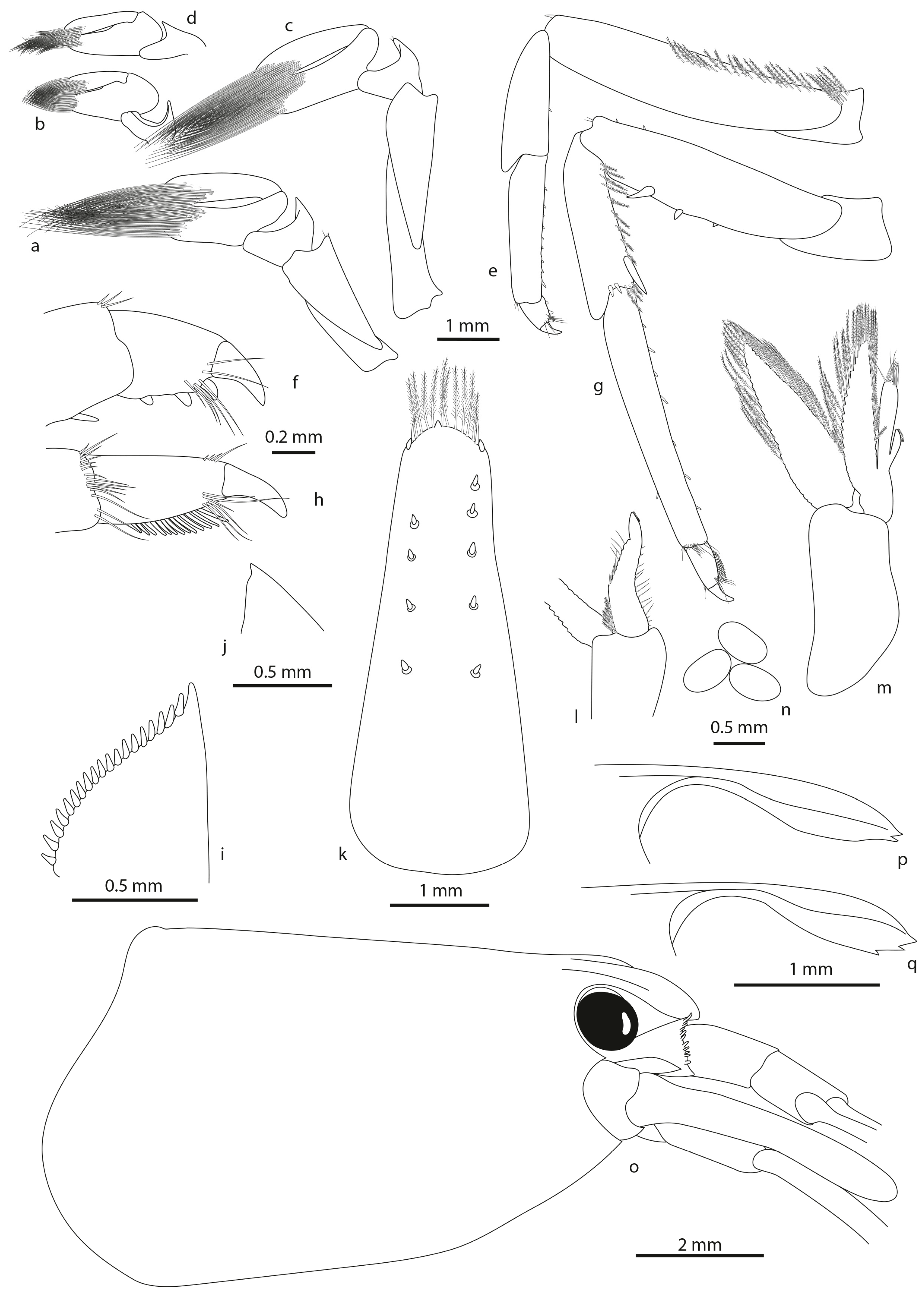 Diversity 16 00200 g004