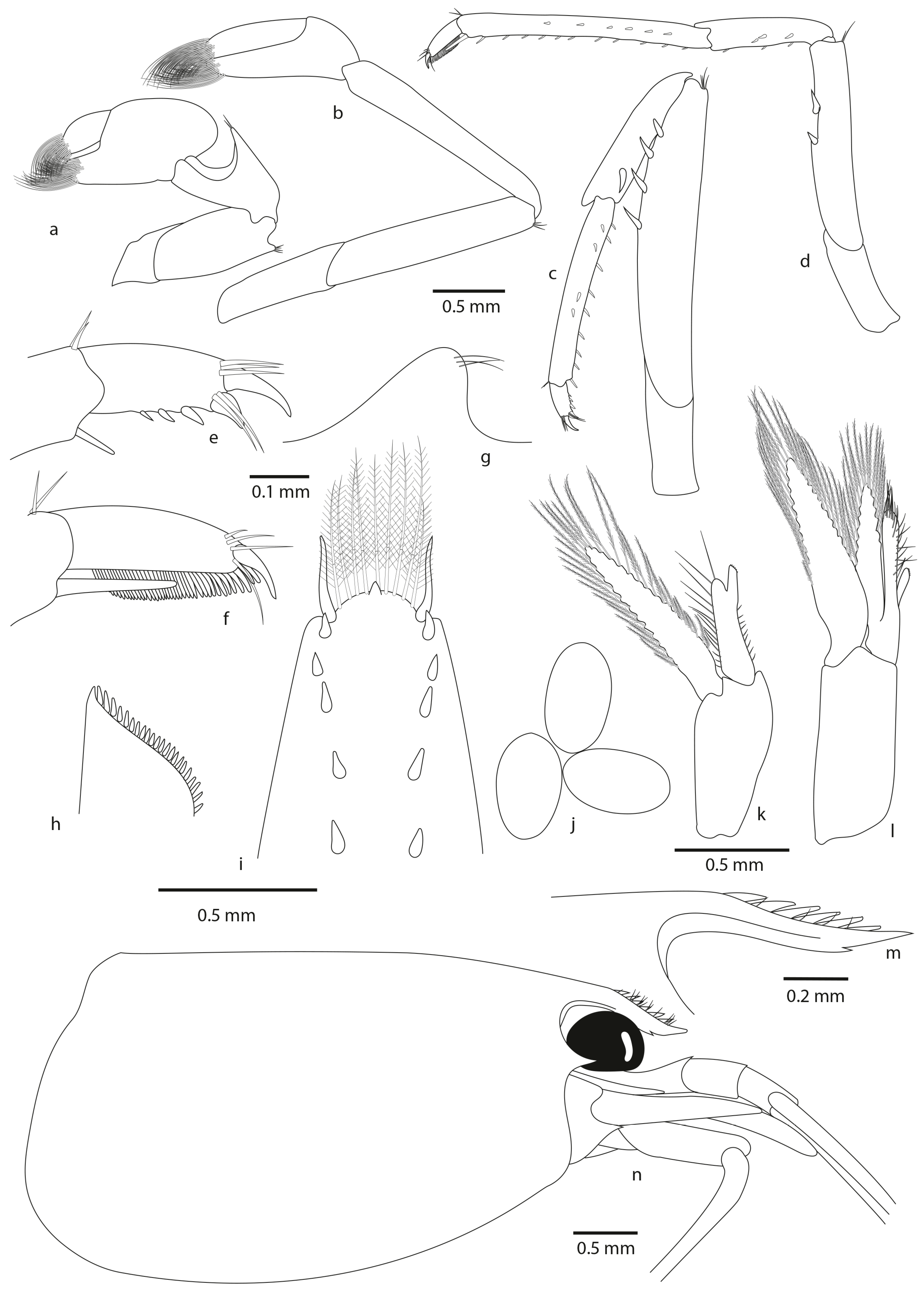 Diversity 16 00200 g005