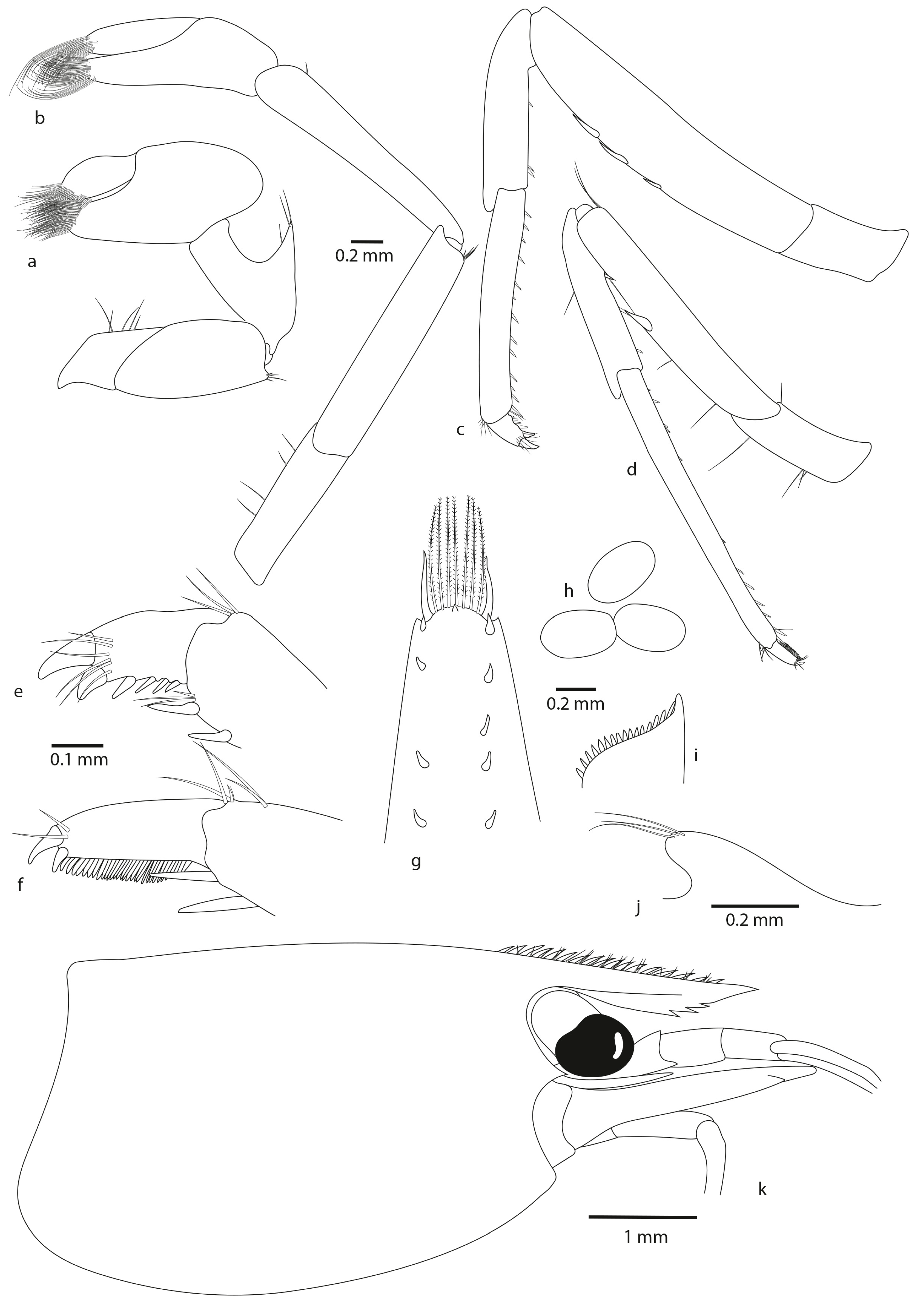 Diversity 16 00200 g006