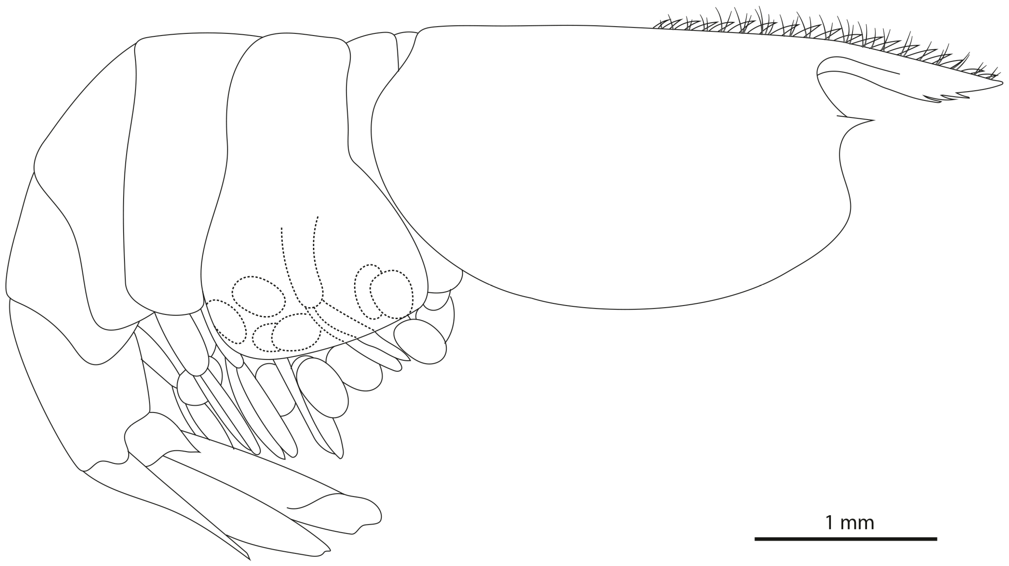 Diversity 16 00200 g007