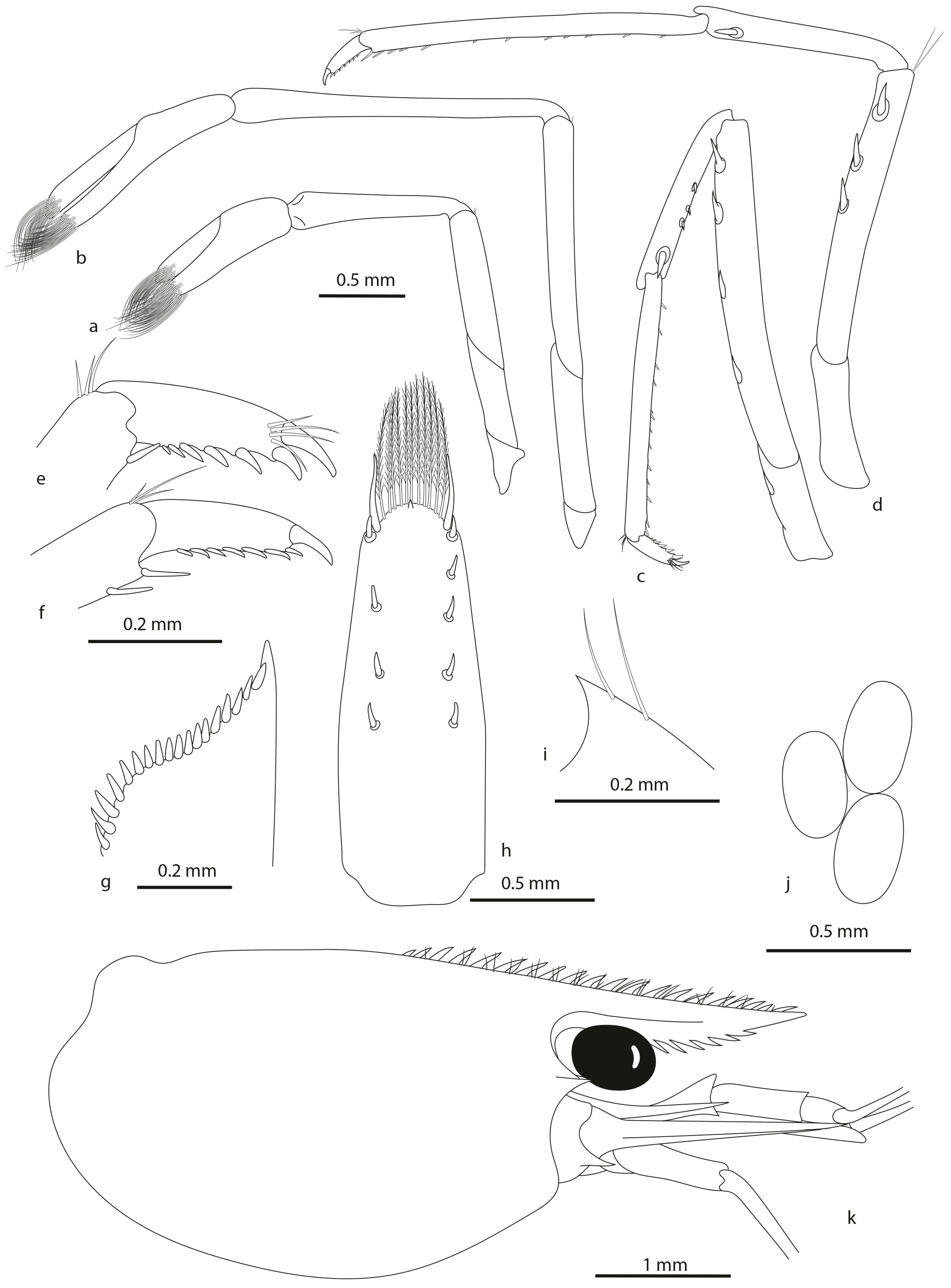 Diversity 16 00200 g008