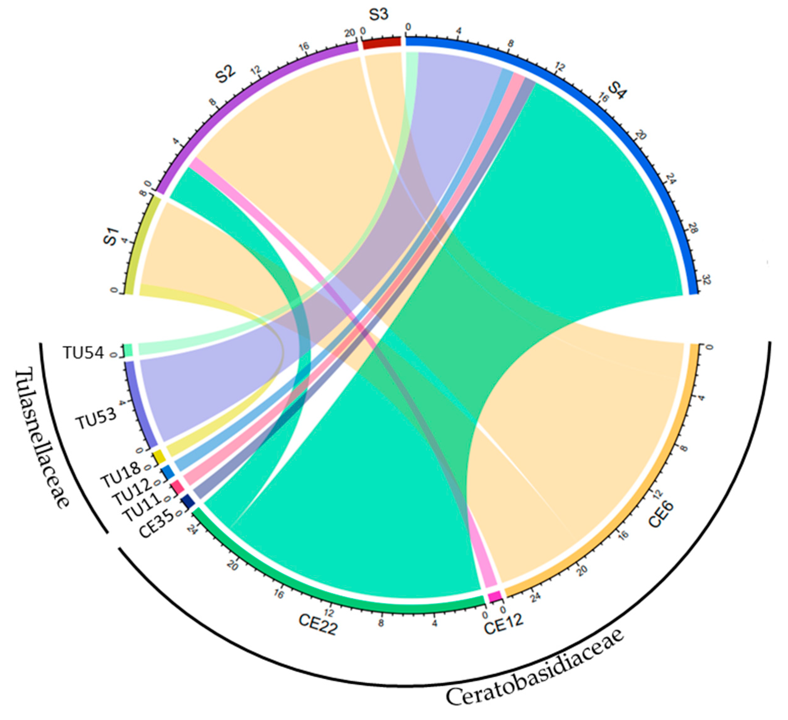 Diversity 16 00218 g002