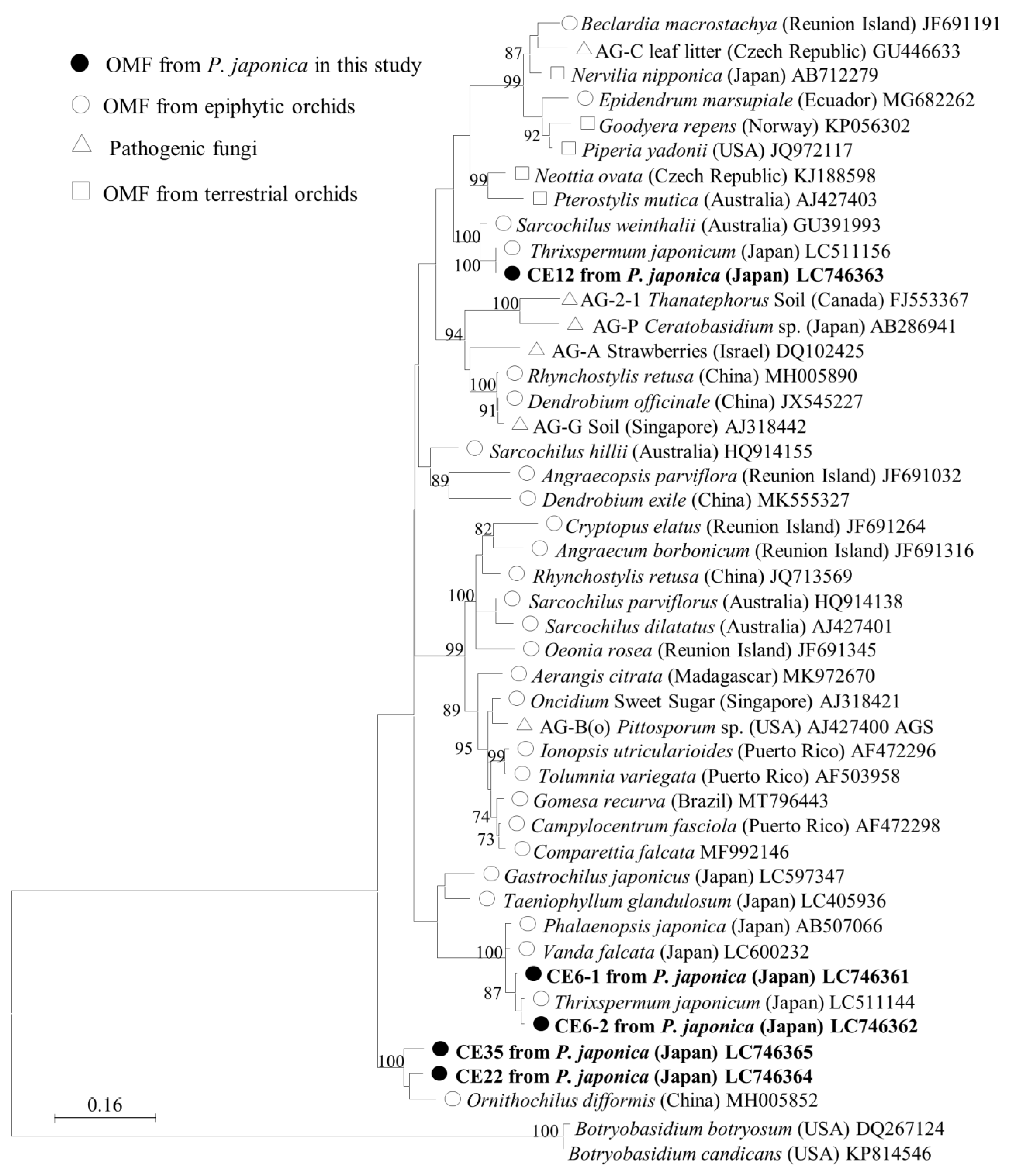 Diversity 16 00218 g003