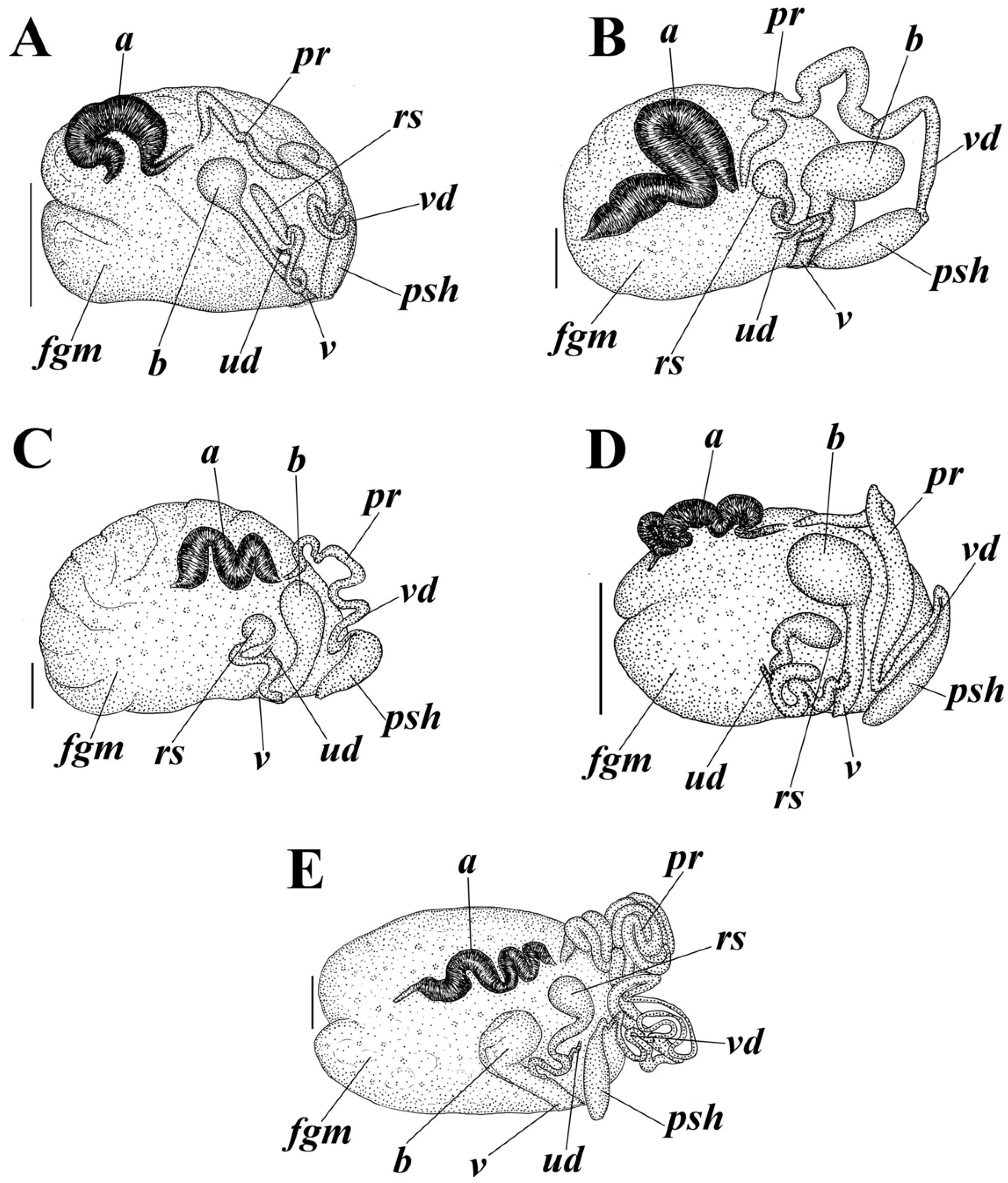 Diversity 16 00220 g007