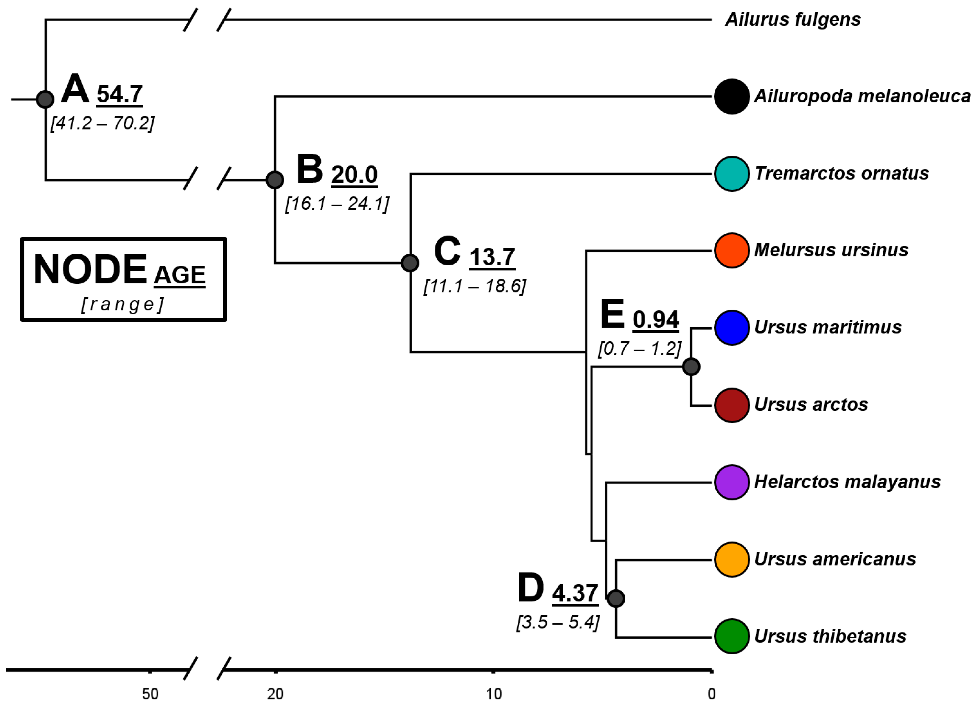 Diversity 16 00223 g003