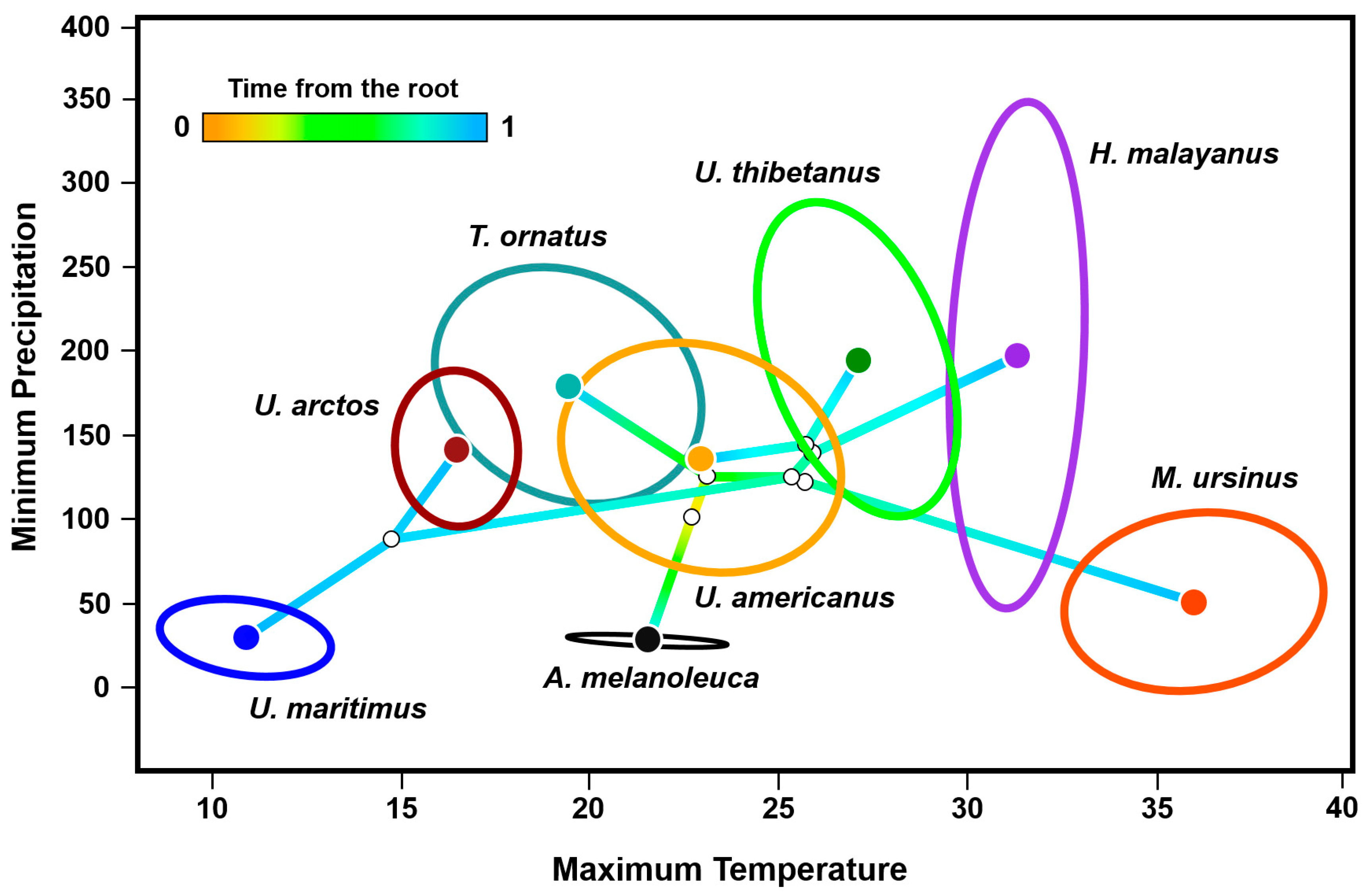 Diversity 16 00223 g004