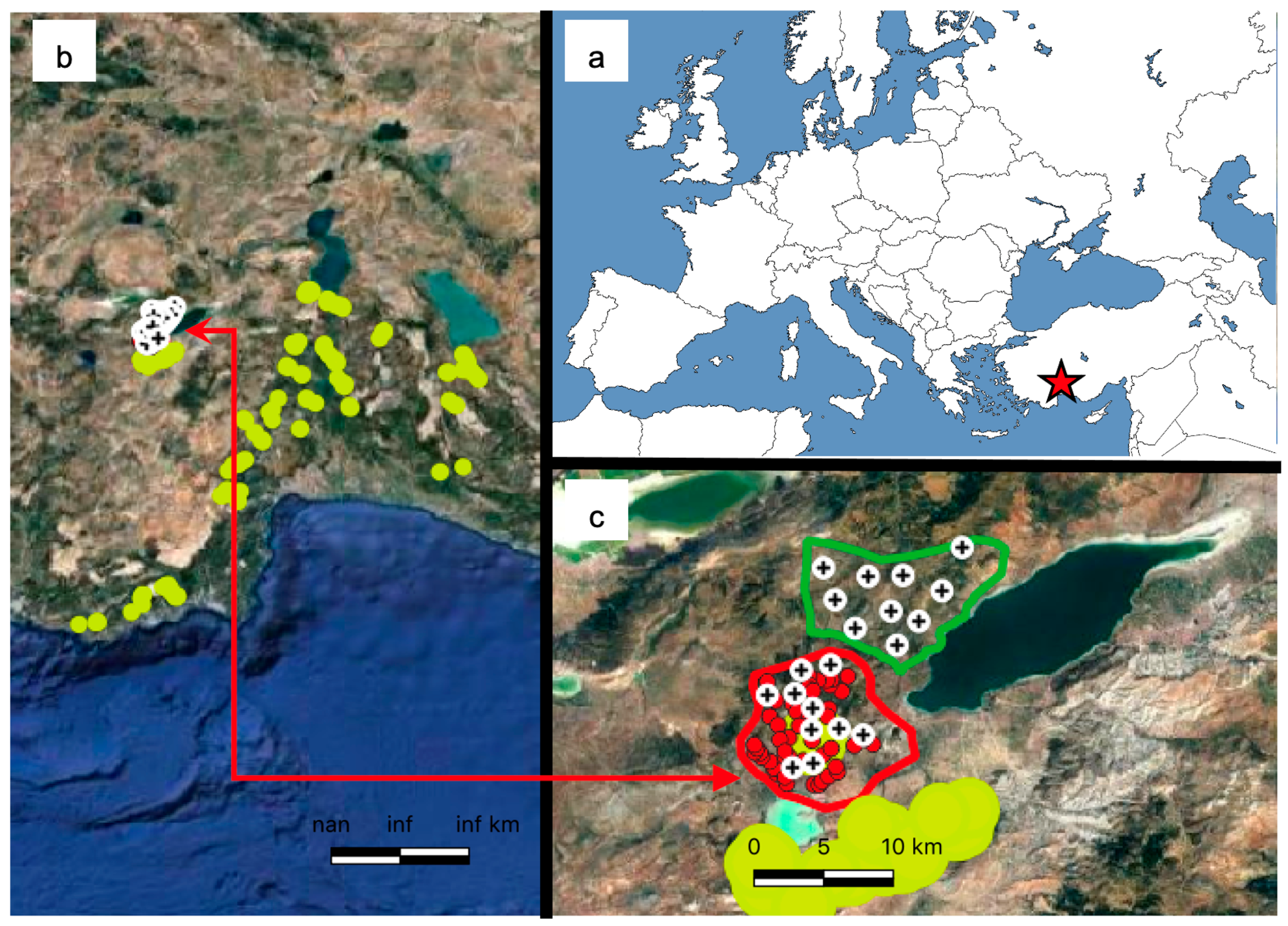 Diversity 16 00267 g001