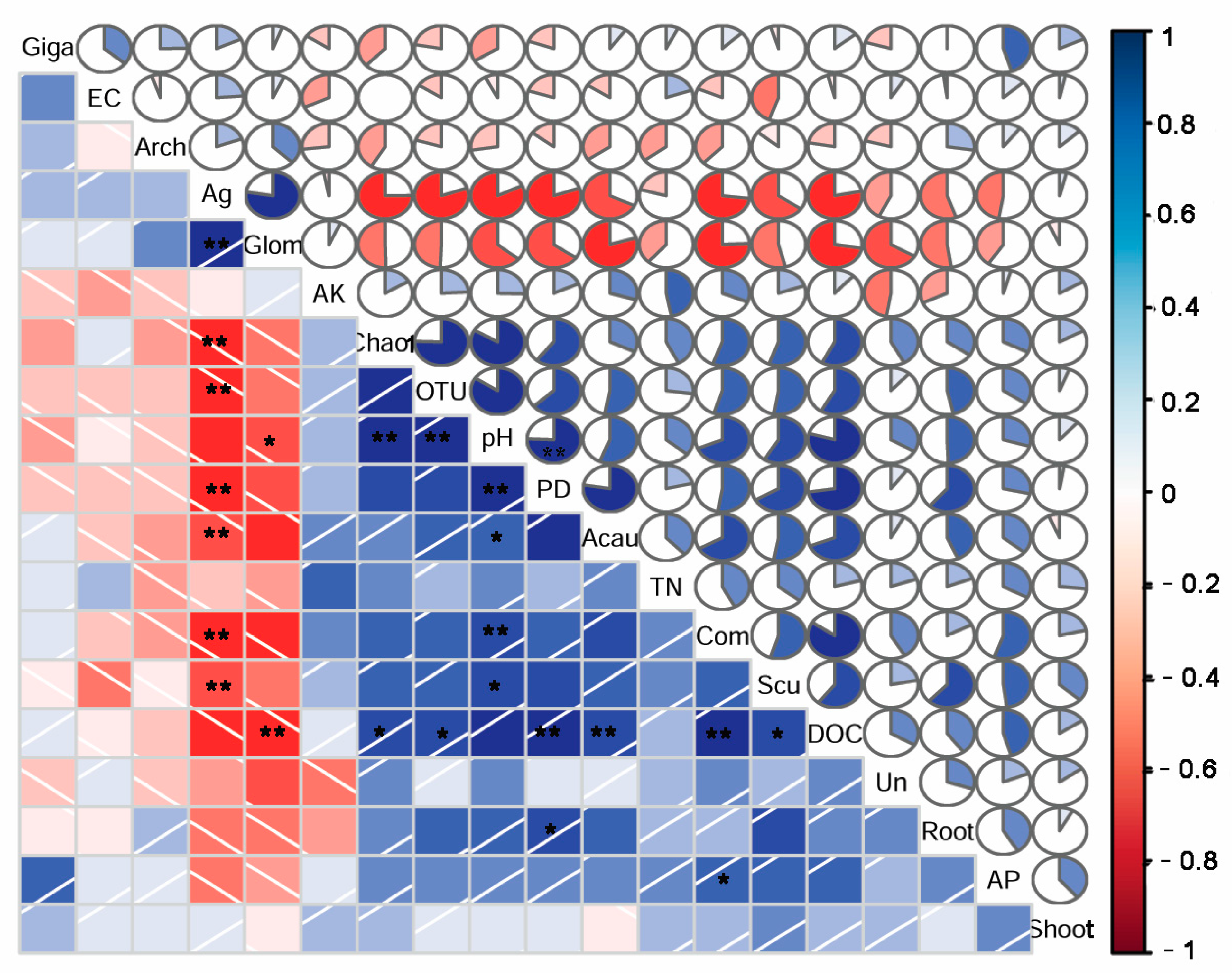 Diversity 16 00273 g008