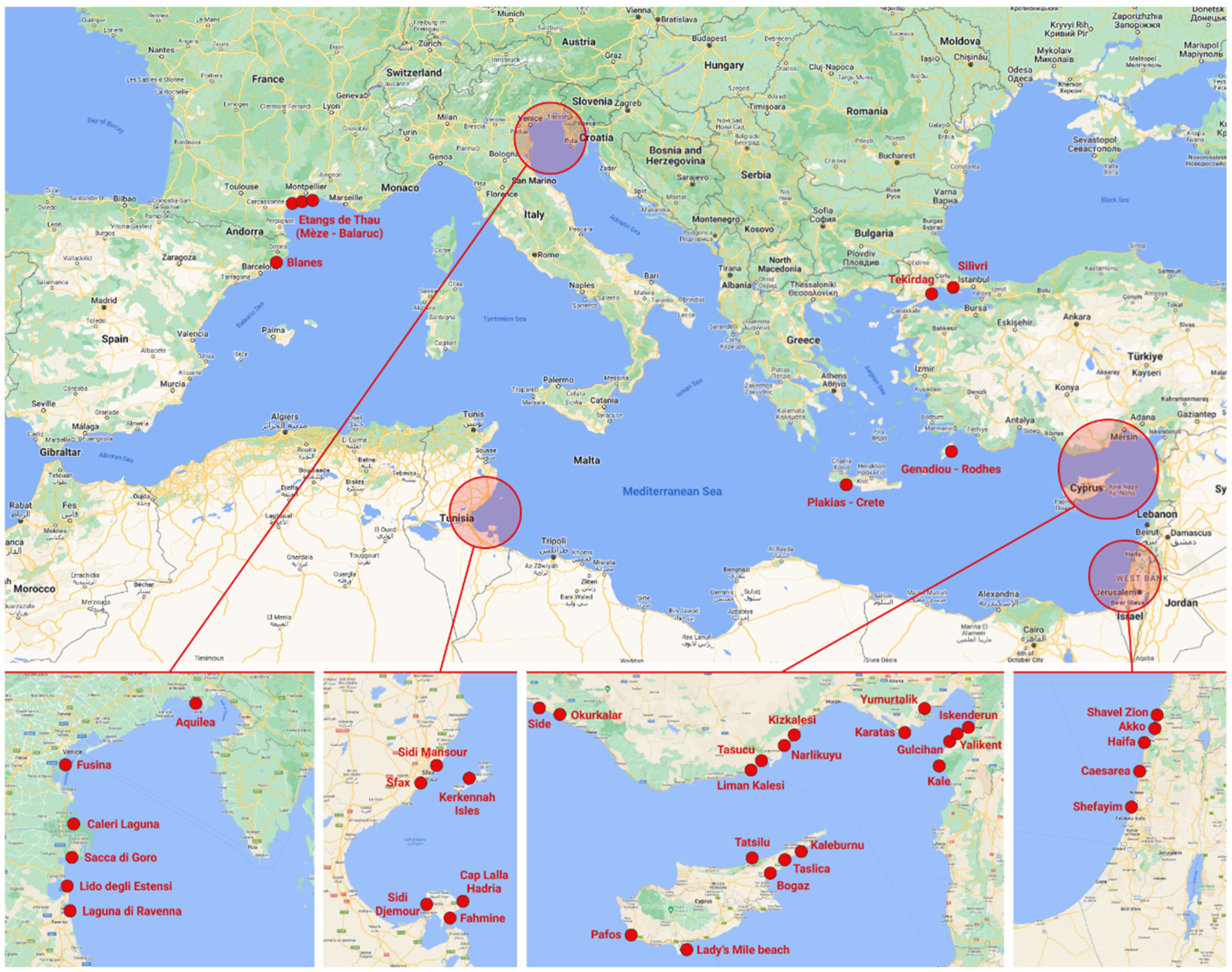 Diversity 16 00299 g001