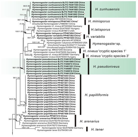 Diversity 16 00303 g001a