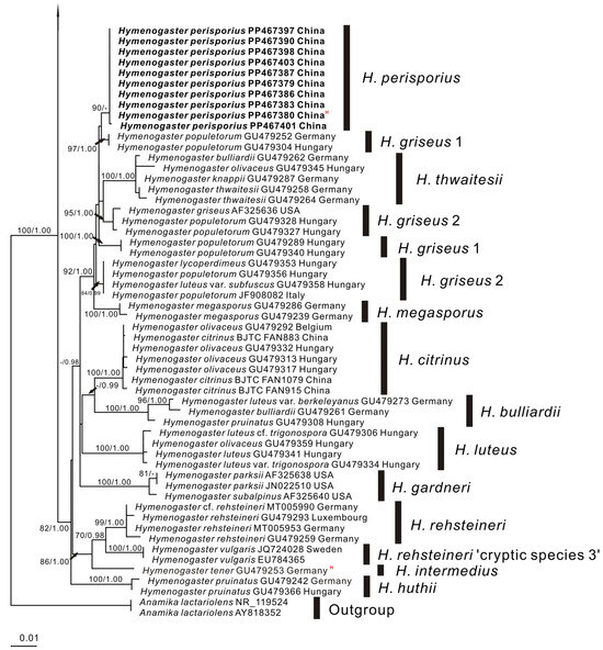 Diversity 16 00303 g001b