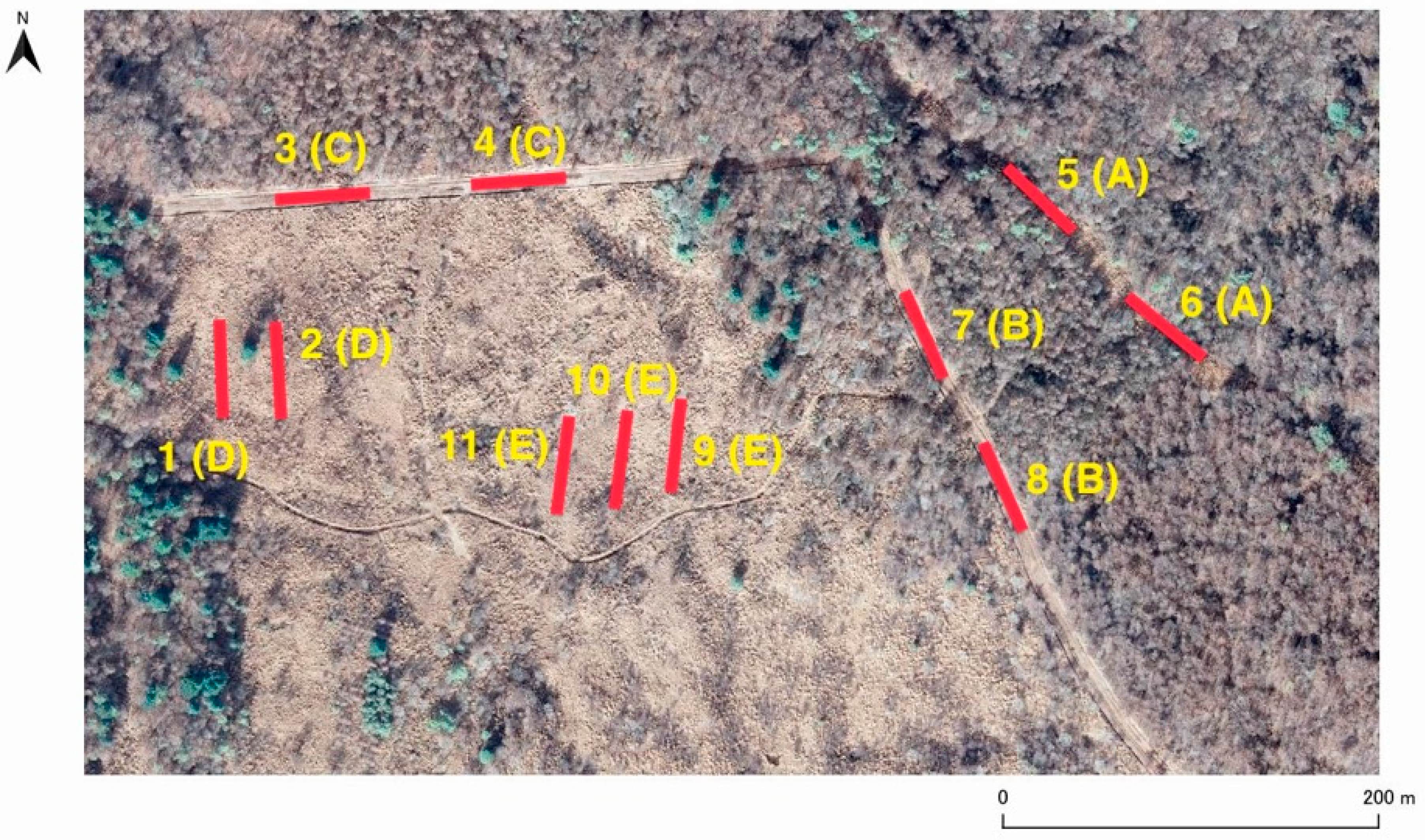 Diversity 16 00310 g001