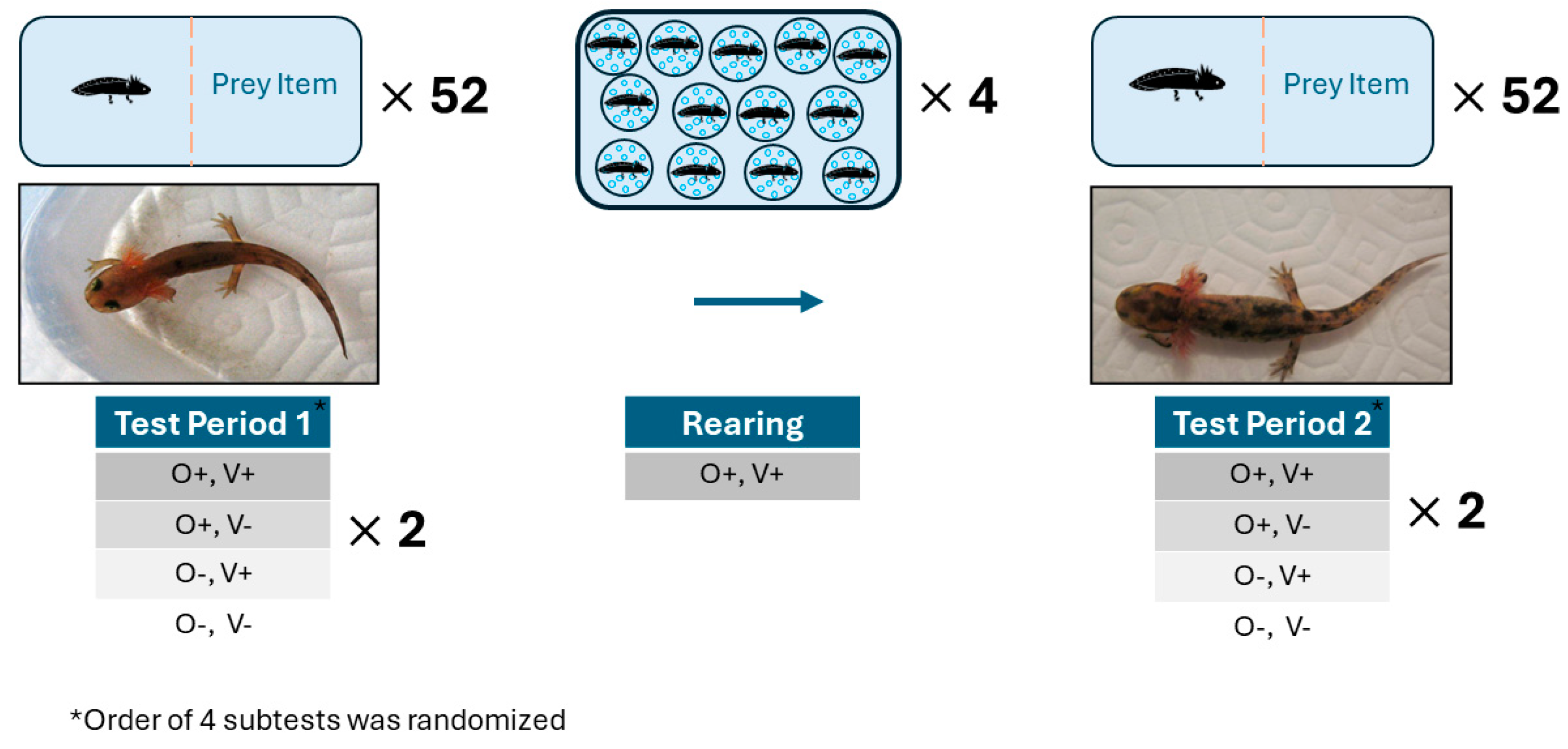Diversity 16 00312 g002 Diversity 16 00312 g002