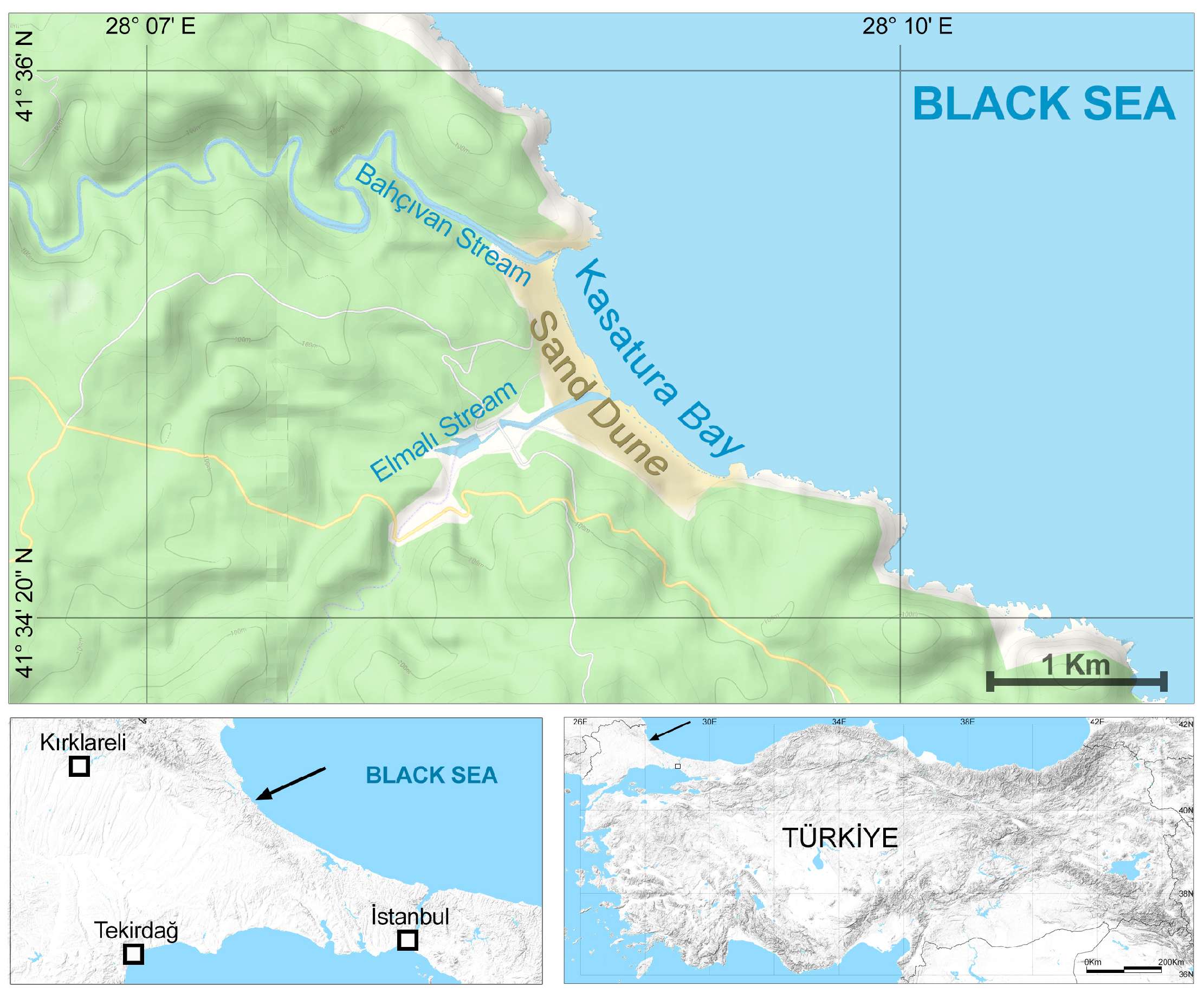 Diversity 16 00318 g001