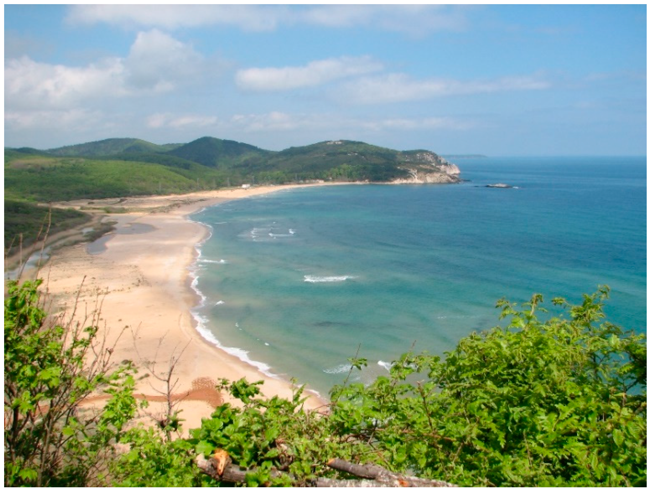 Diversity 16 00318 g002