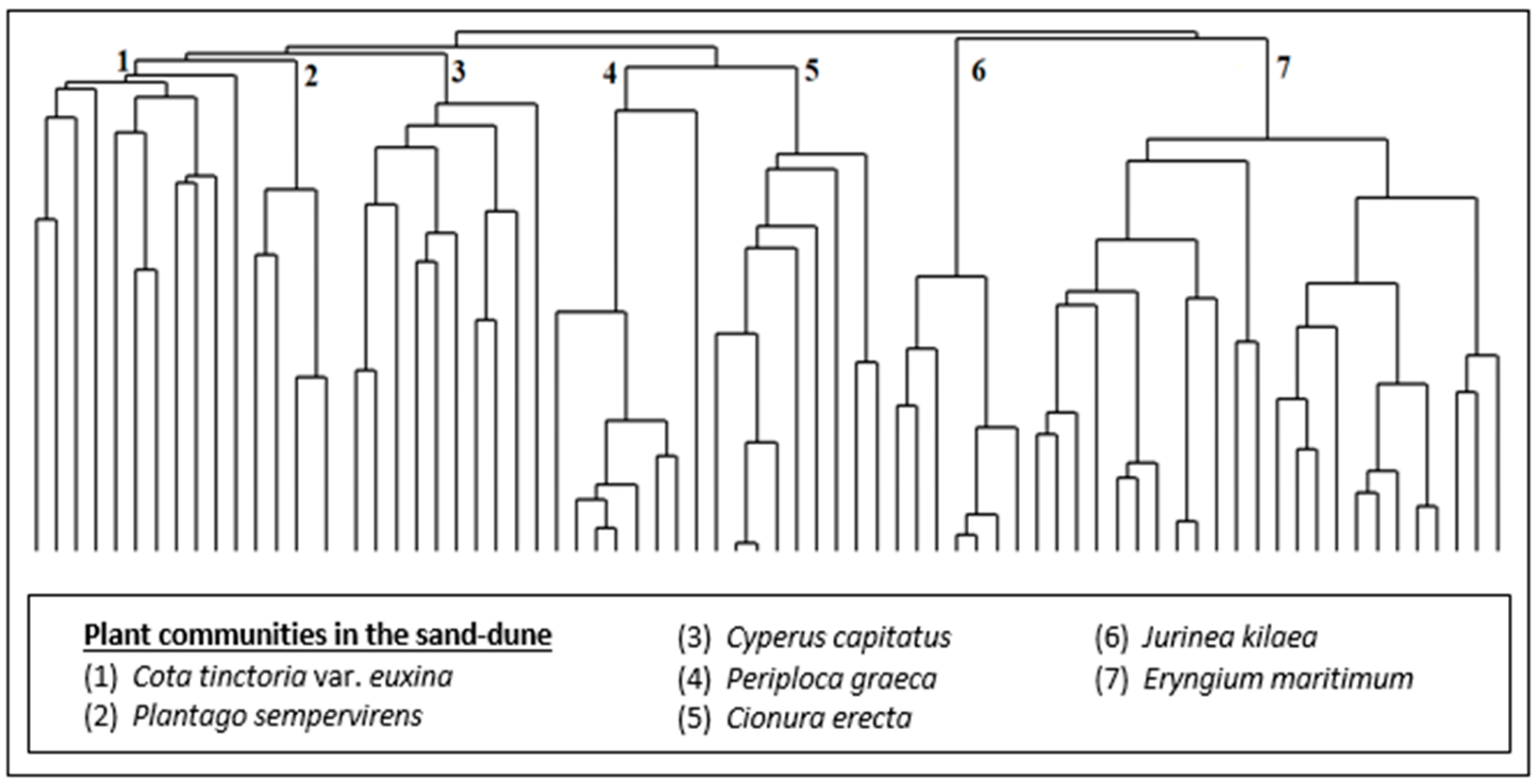 Diversity 16 00318 g003