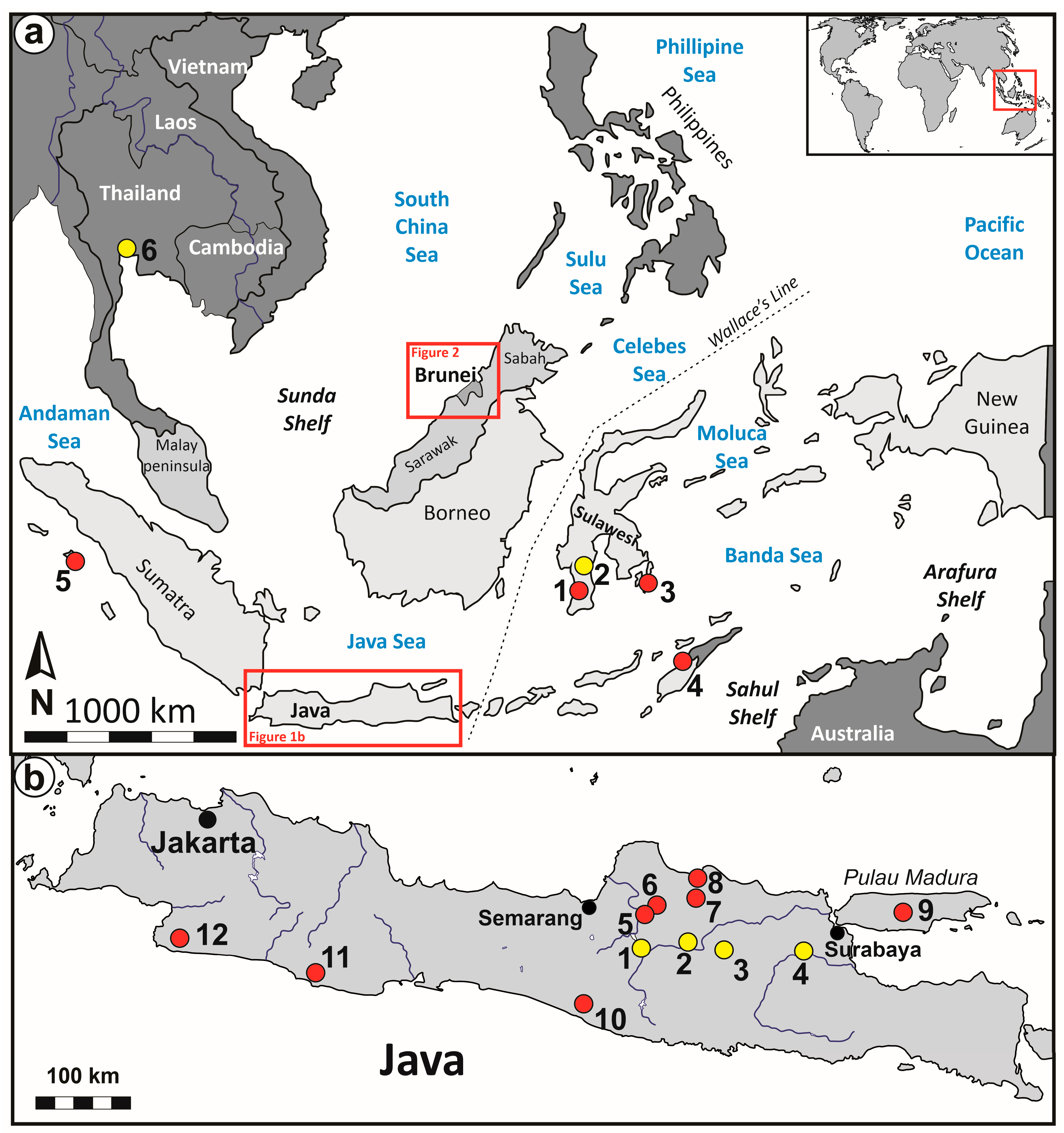 Diversity 16 00323 g001