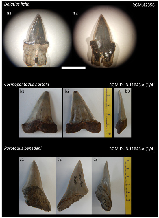 Diversity 16 00323 g0a2