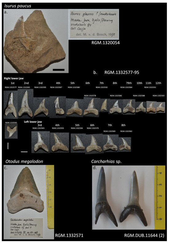 Diversity 16 00323 g0a4