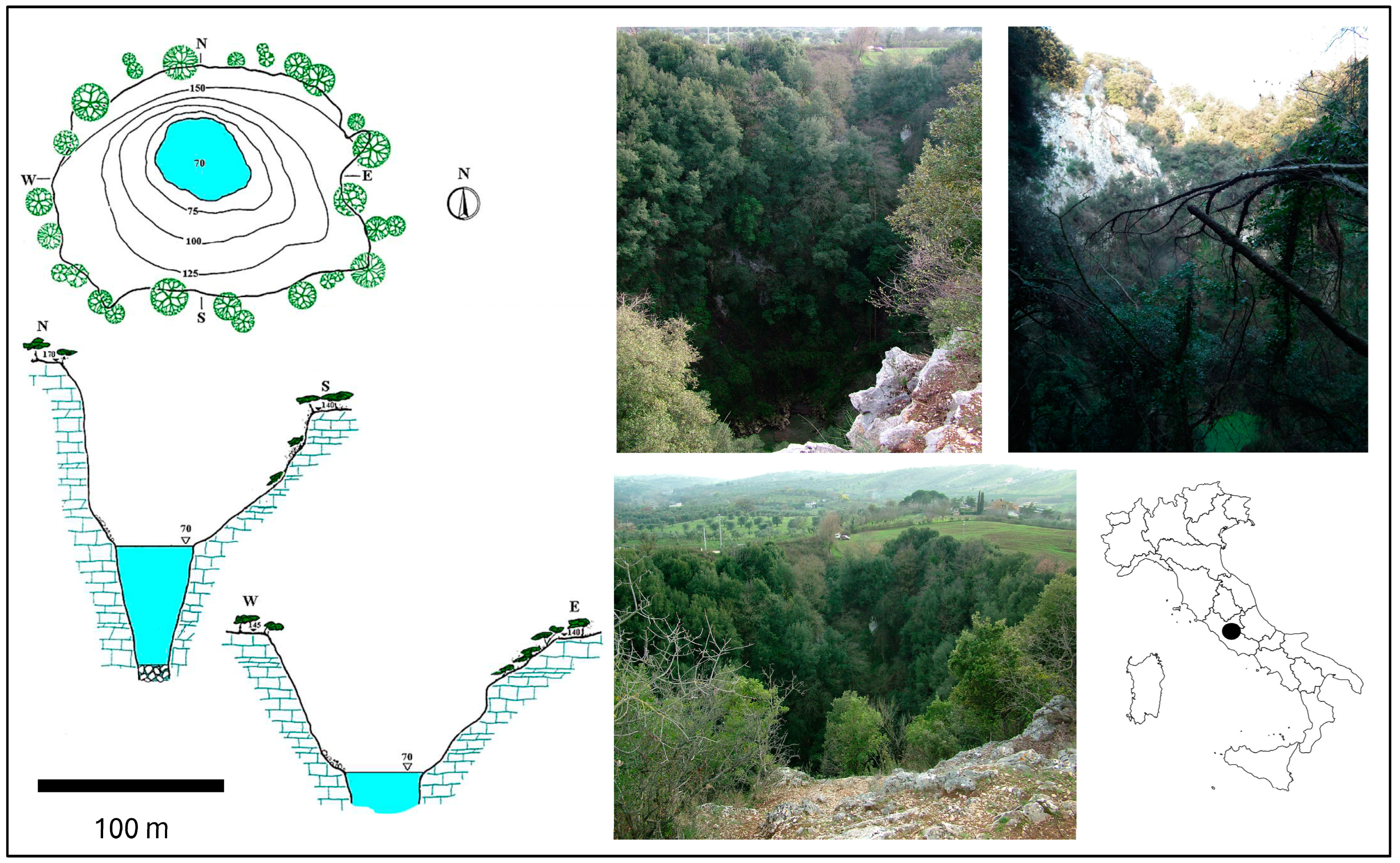 Diversity 16 00326 g001