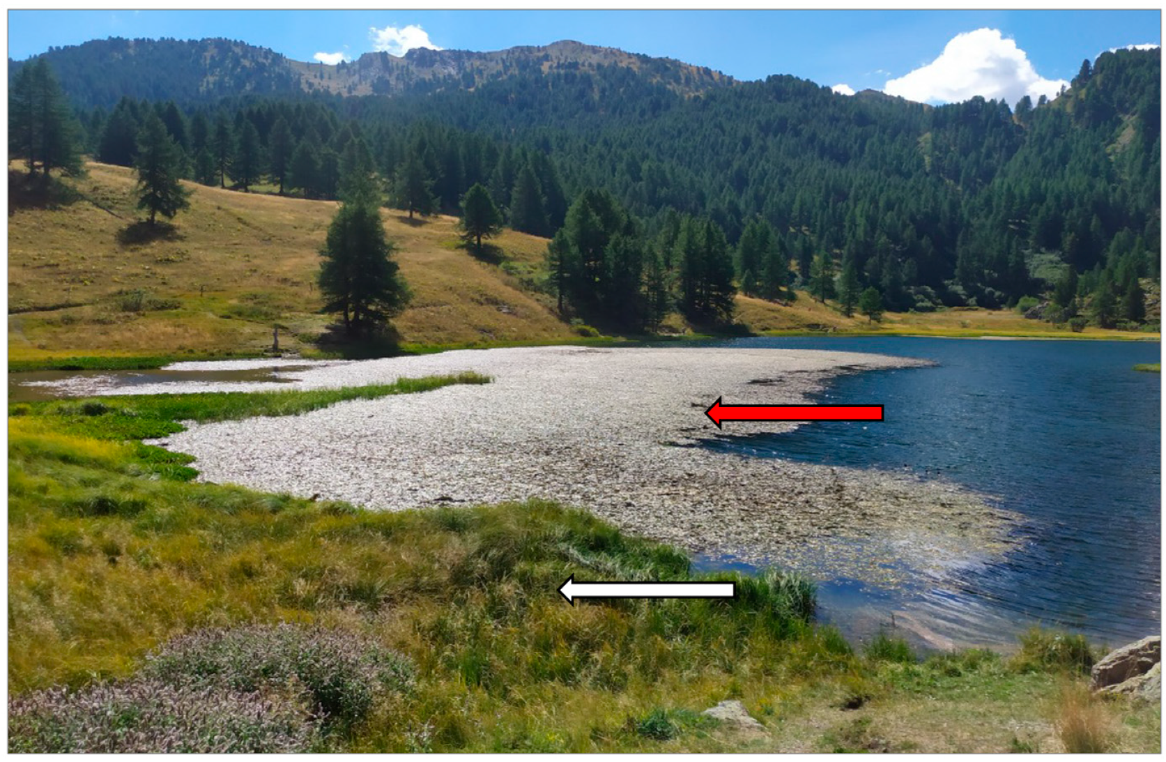 Diversity 16 00329 g001