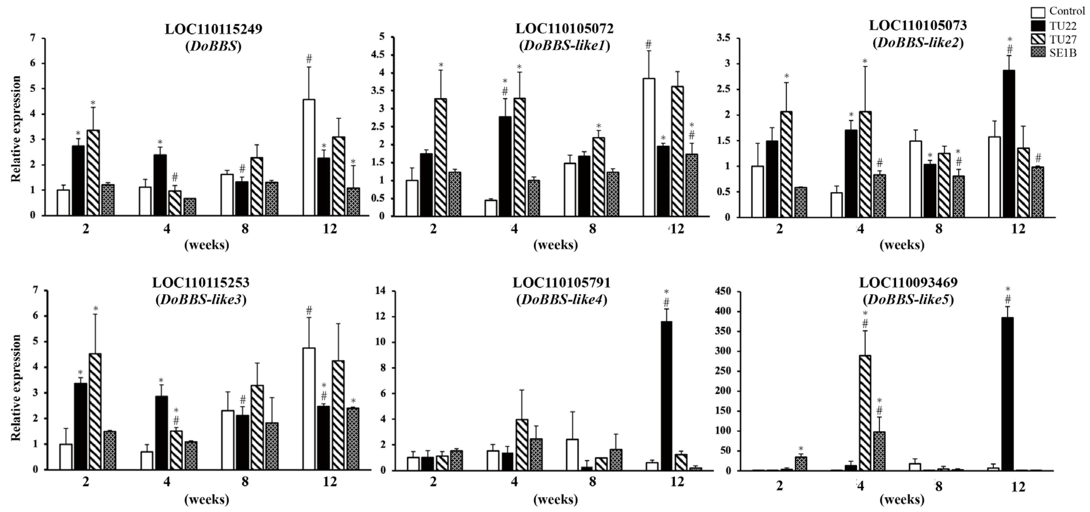 Diversity 16 00337 g003