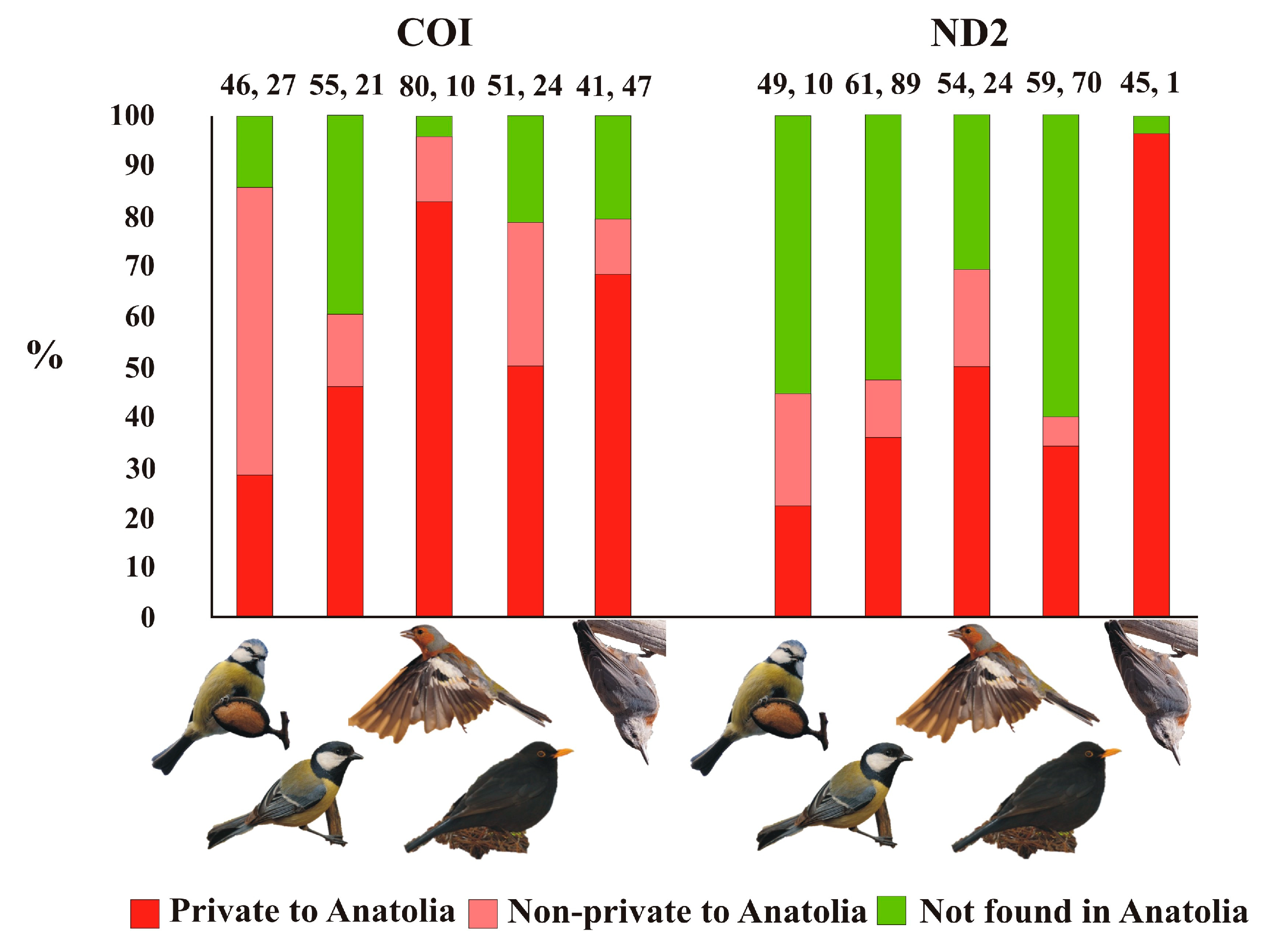 Diversity 16 00339 g002